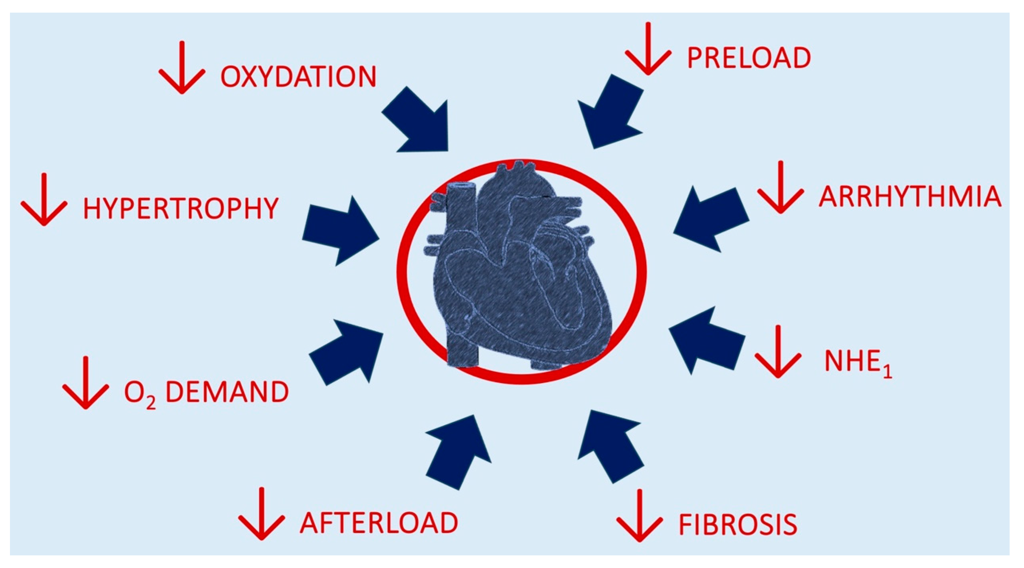 Biomedicines 13 00608 g002