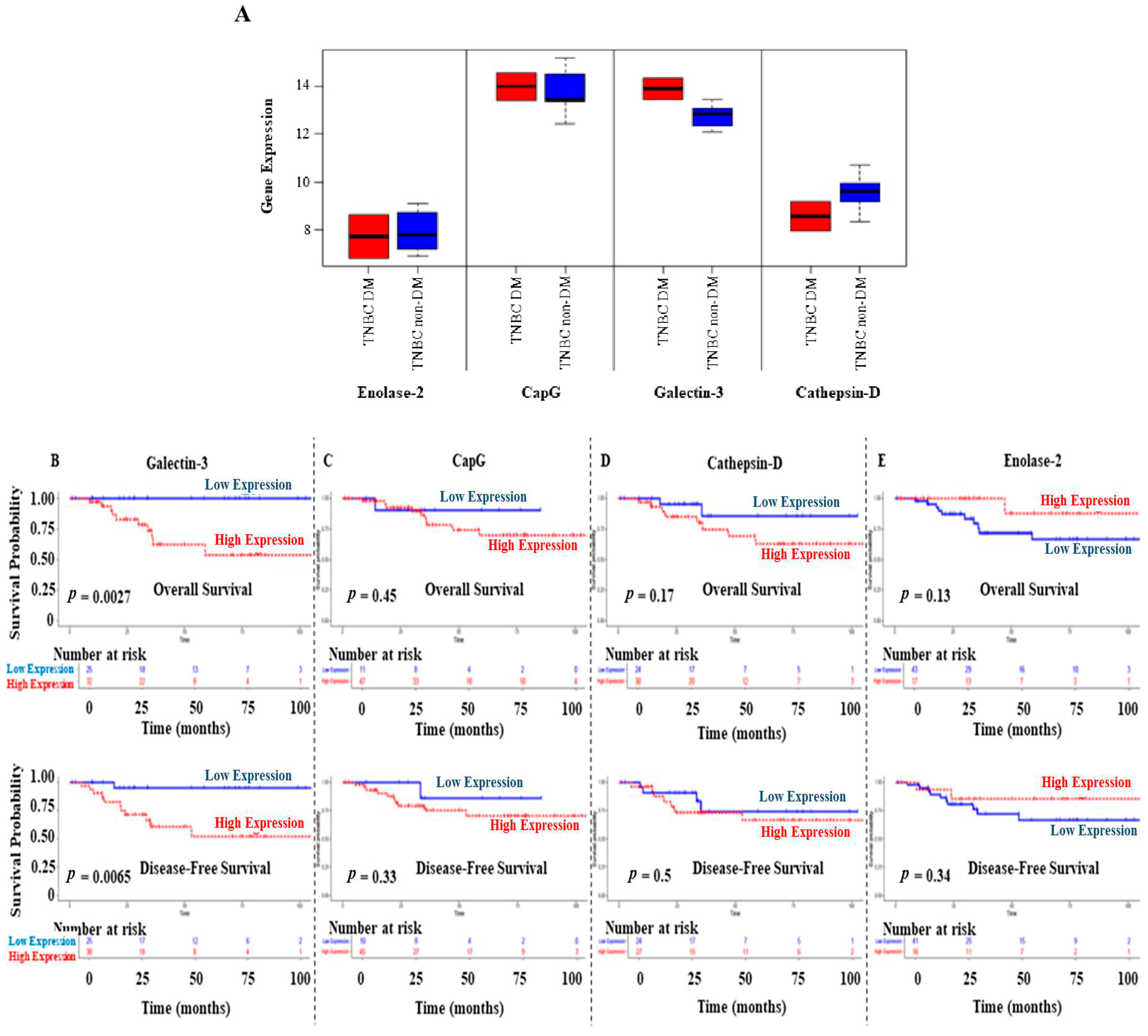 Biomedicines 13 00612 g006