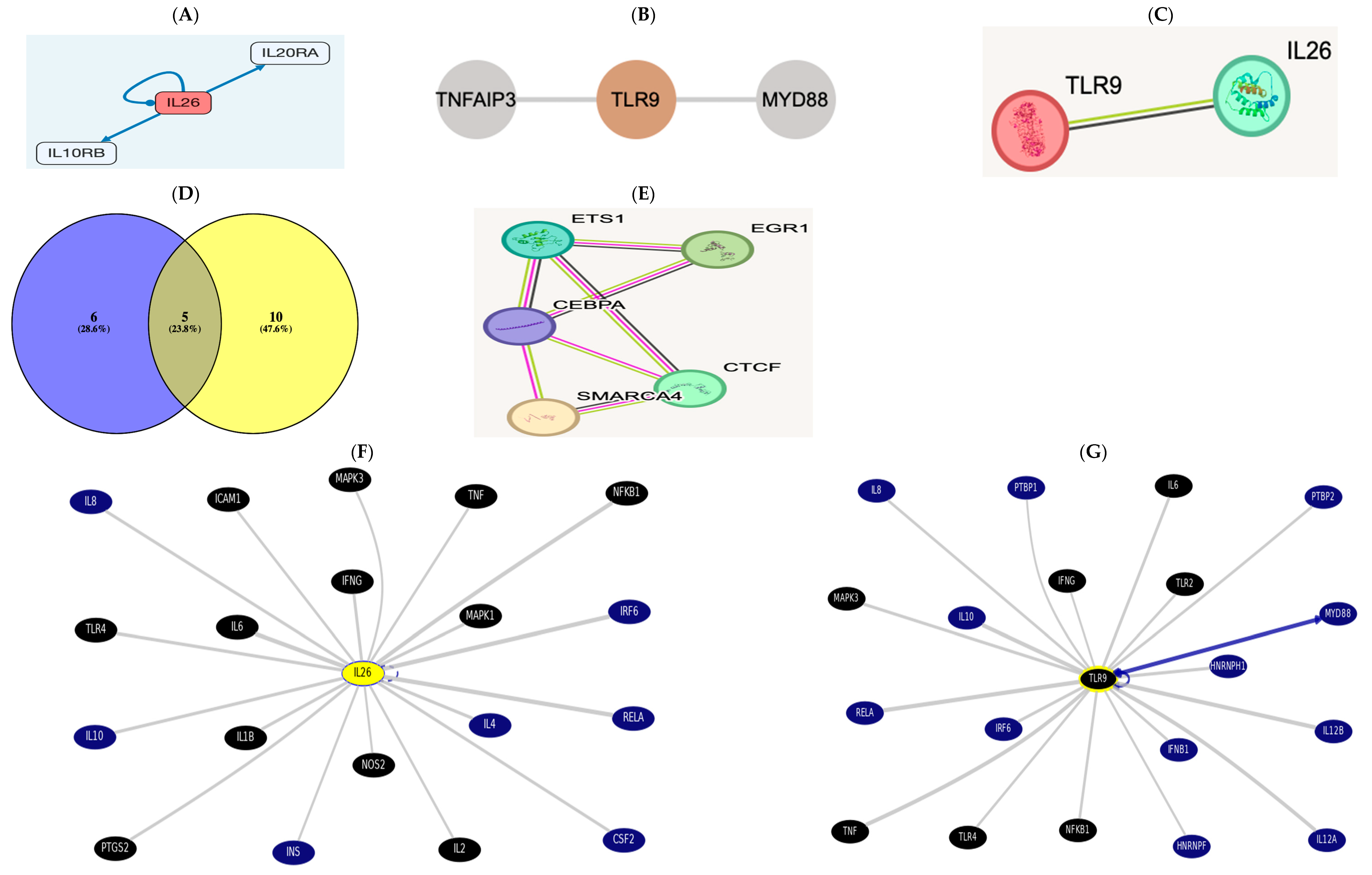 Biomedicines 13 00613 g003
