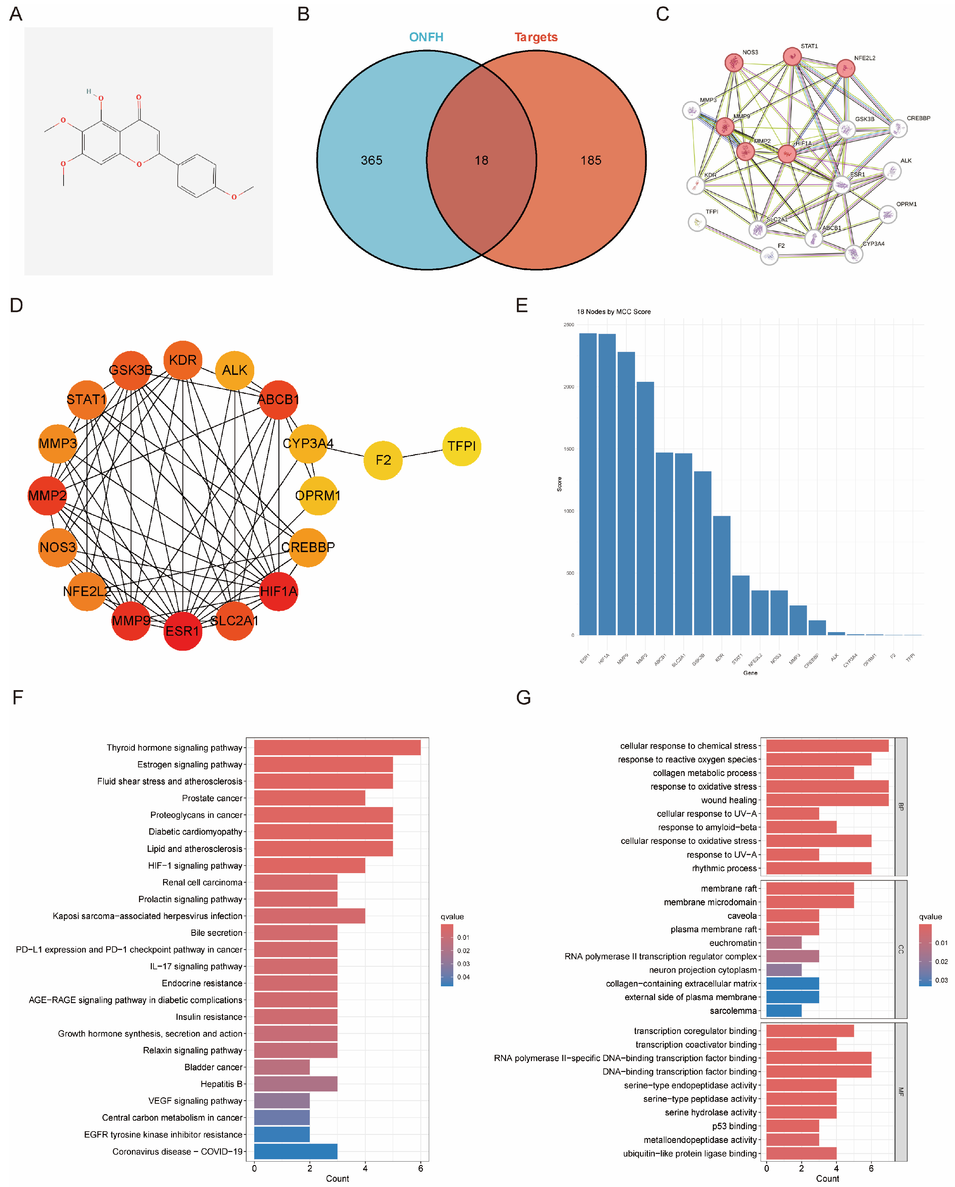 Biomedicines 13 00614 g001