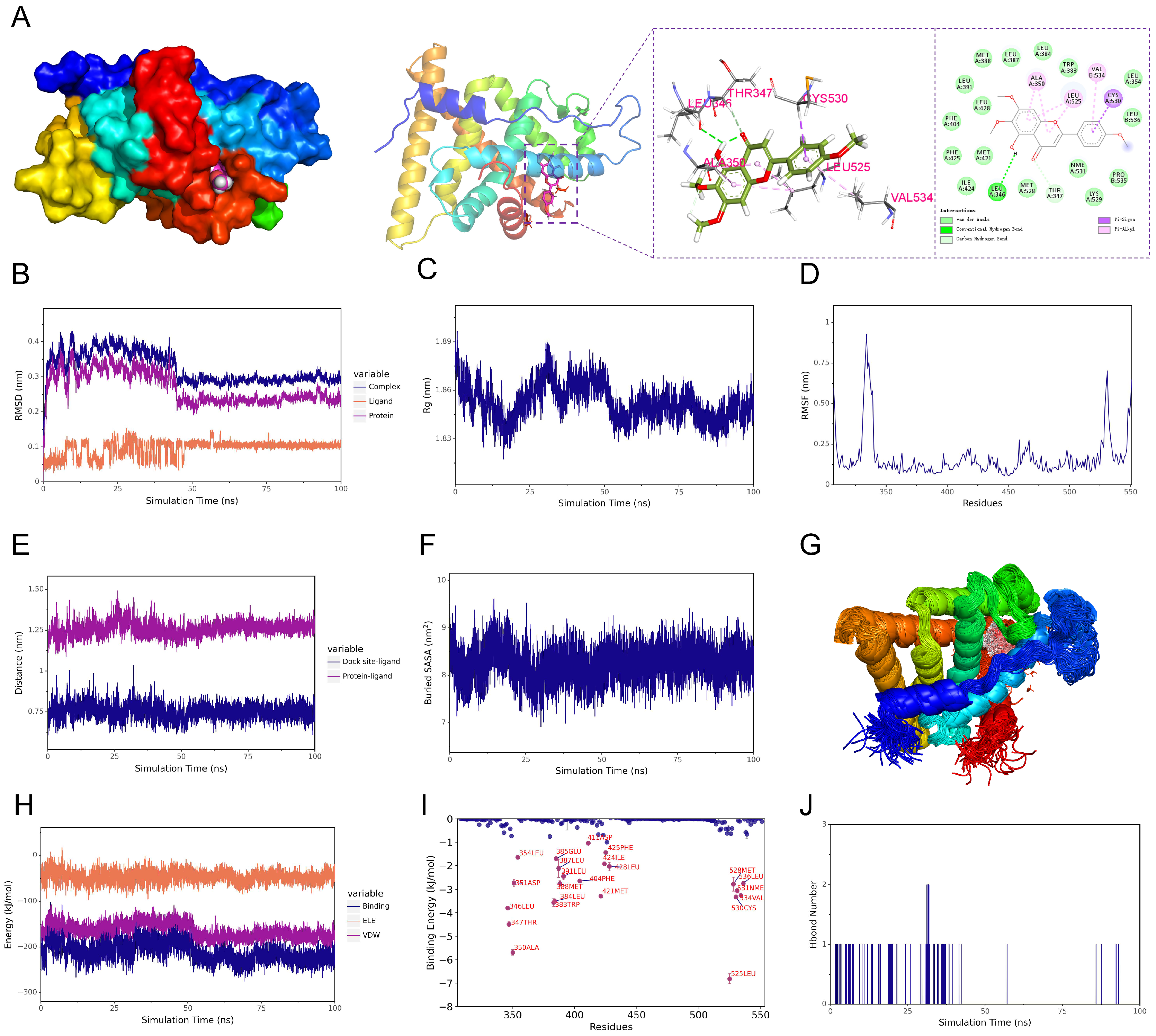 Biomedicines 13 00614 g003