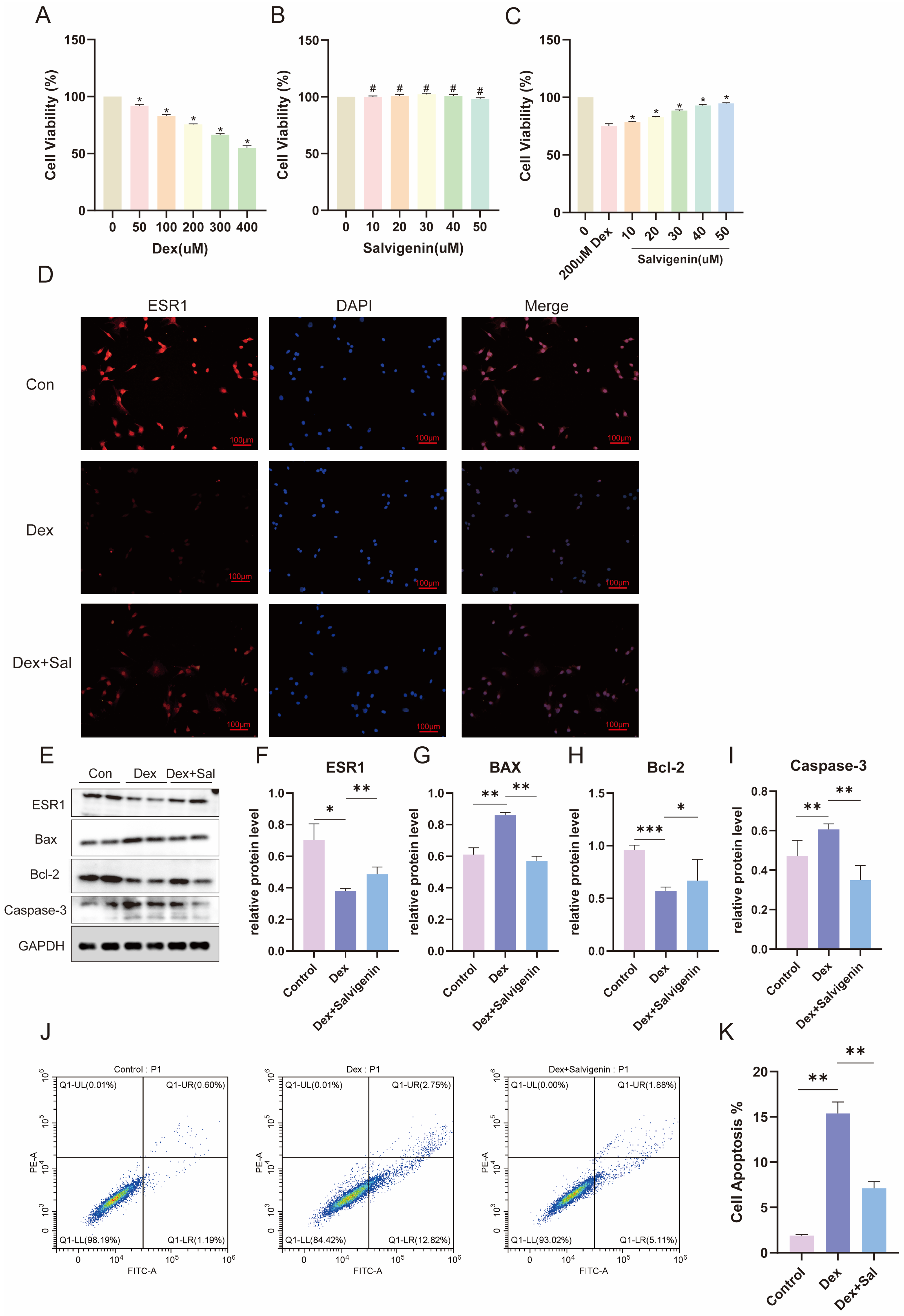 Biomedicines 13 00614 g004
