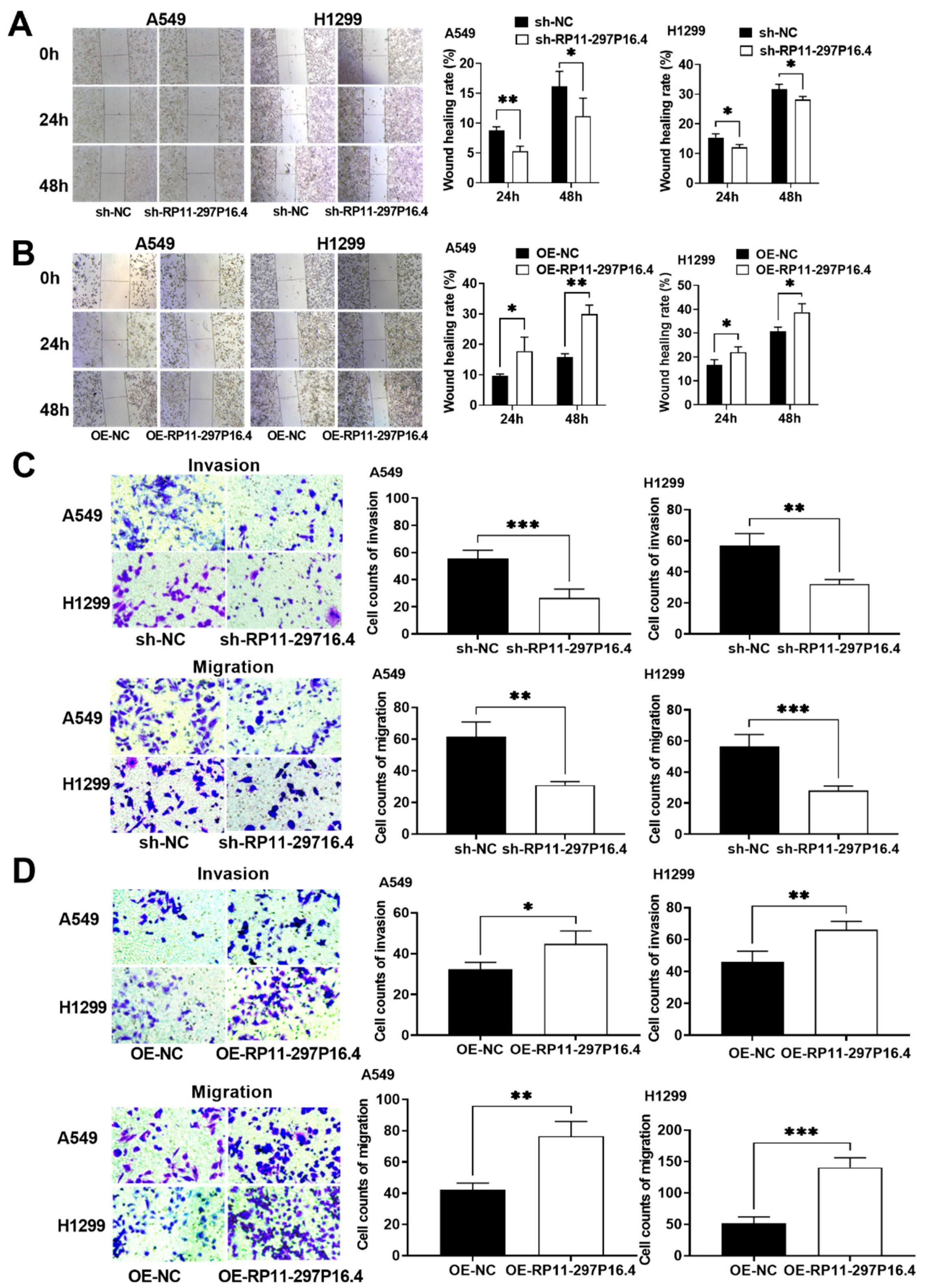 Biomedicines 13 00617 g003