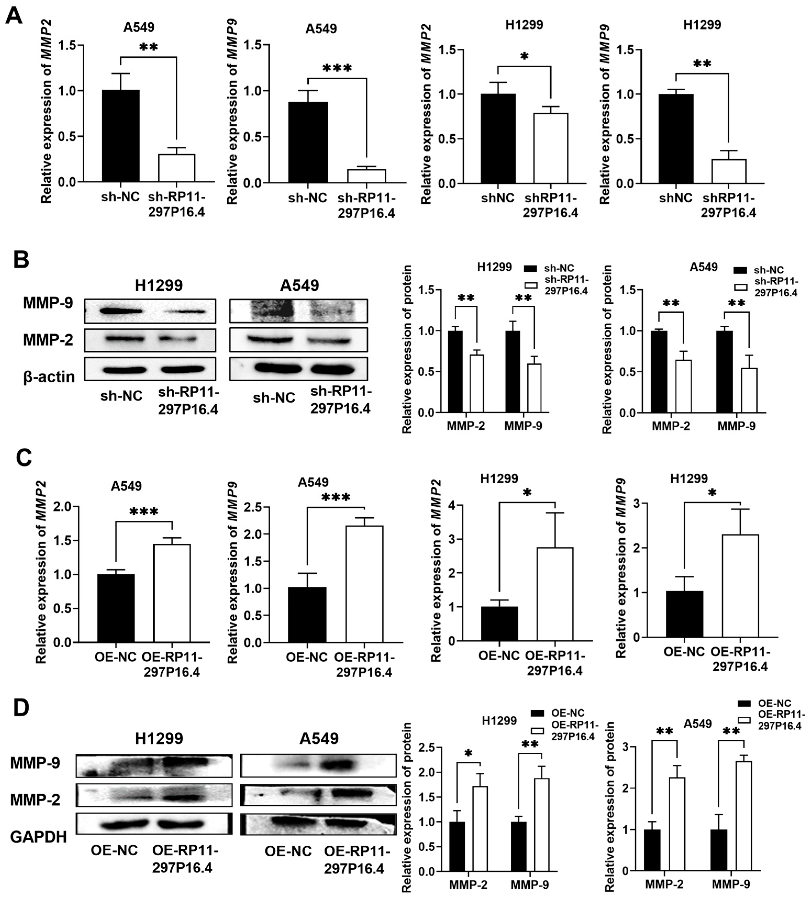Biomedicines 13 00617 g004