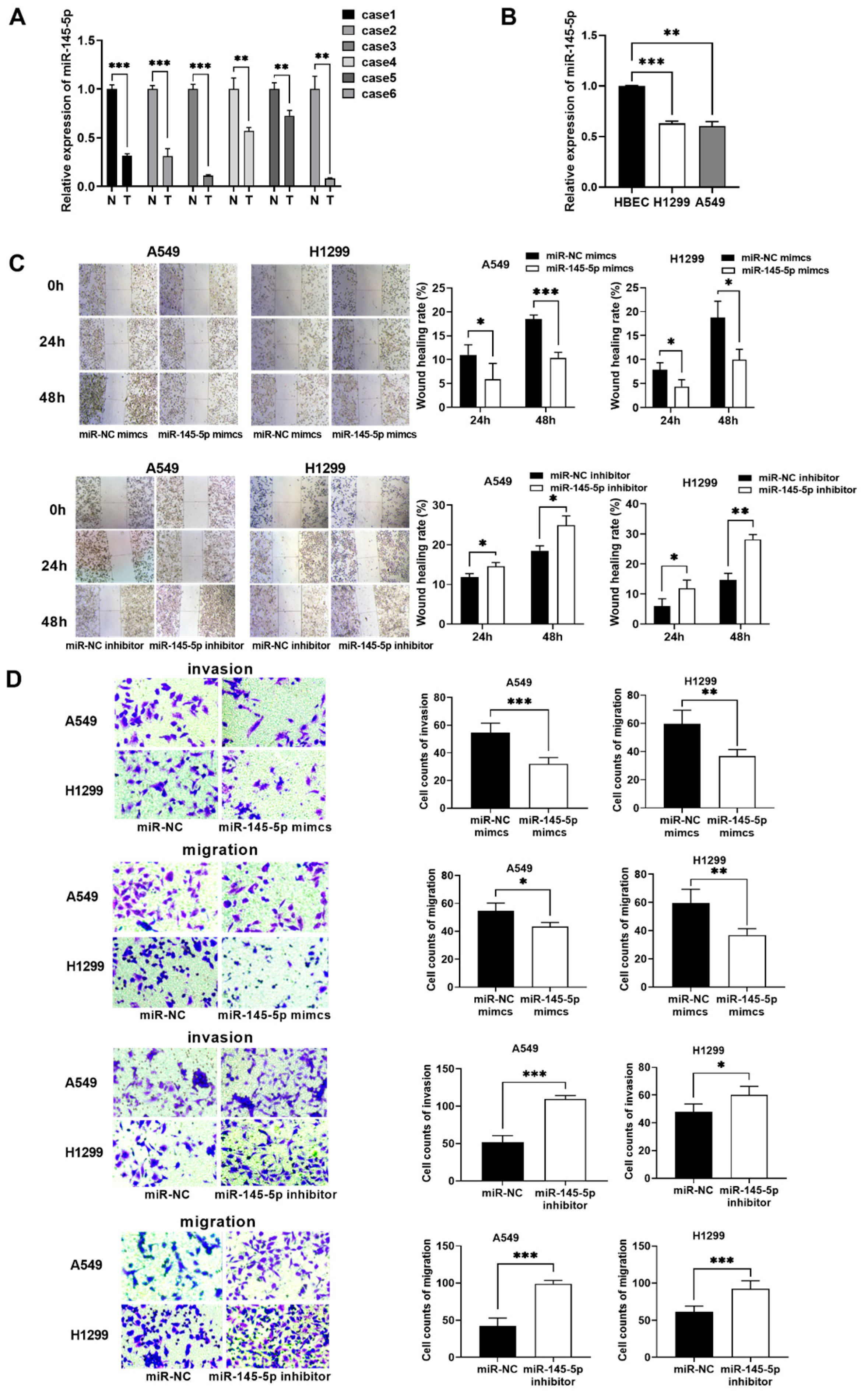Biomedicines 13 00617 g007