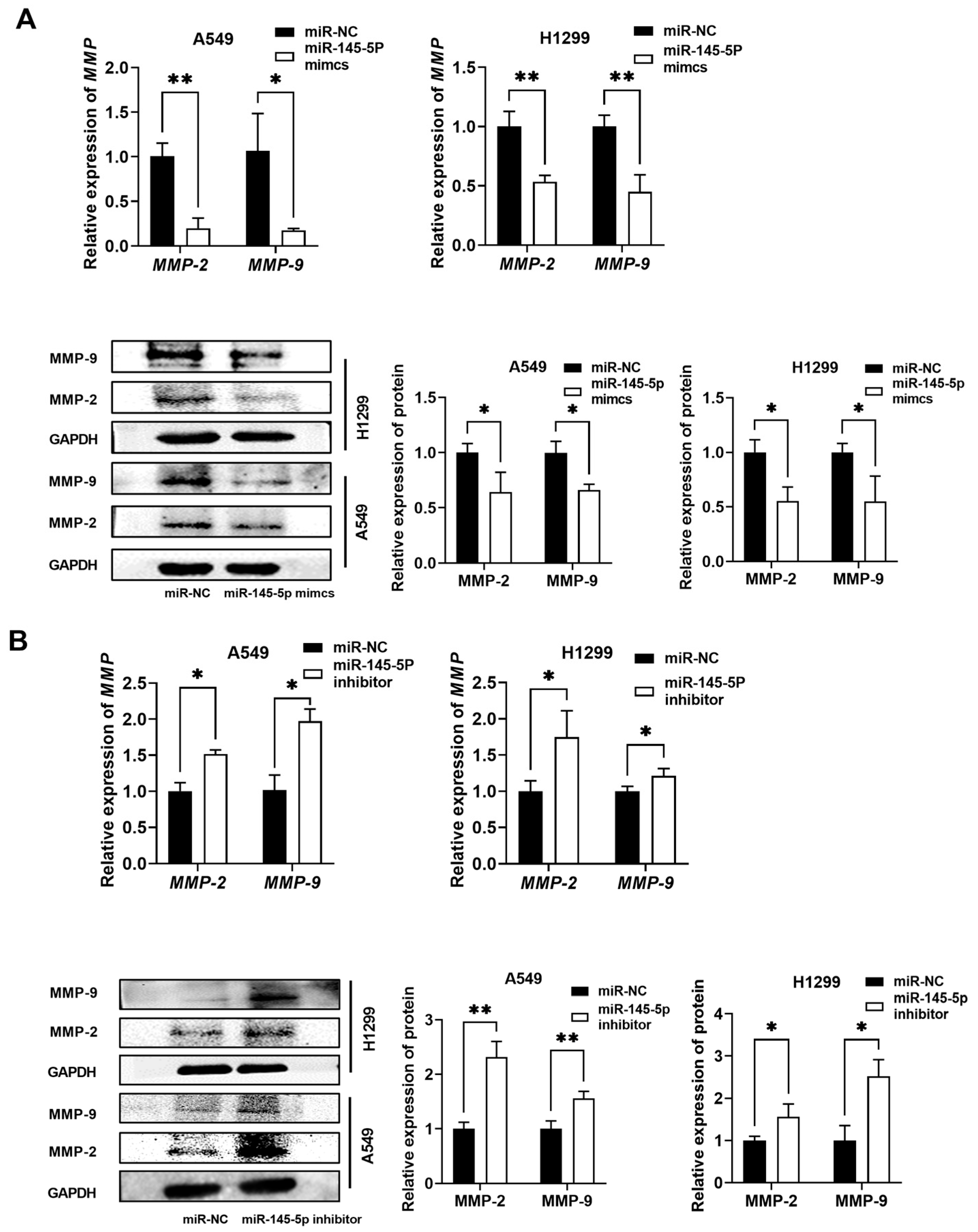 Biomedicines 13 00617 g008