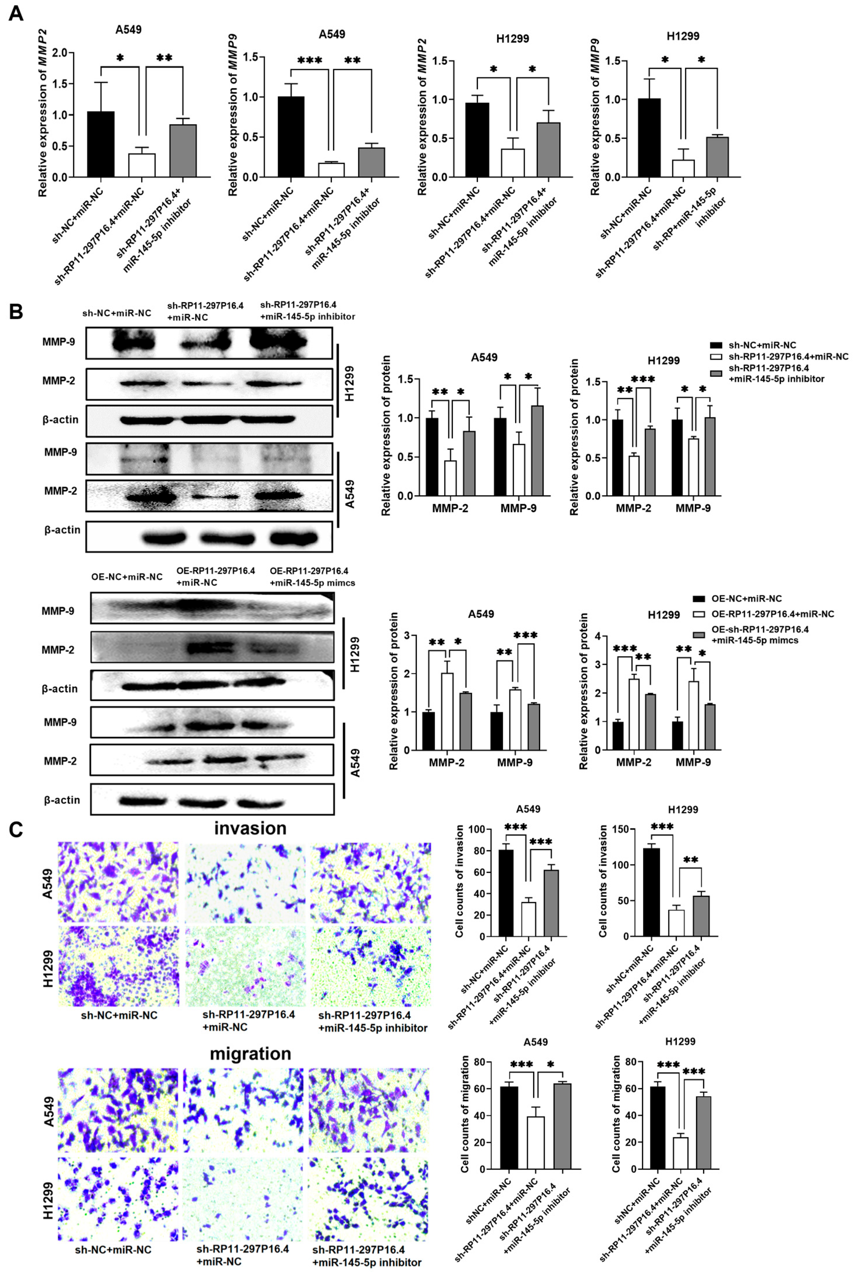 Biomedicines 13 00617 g009