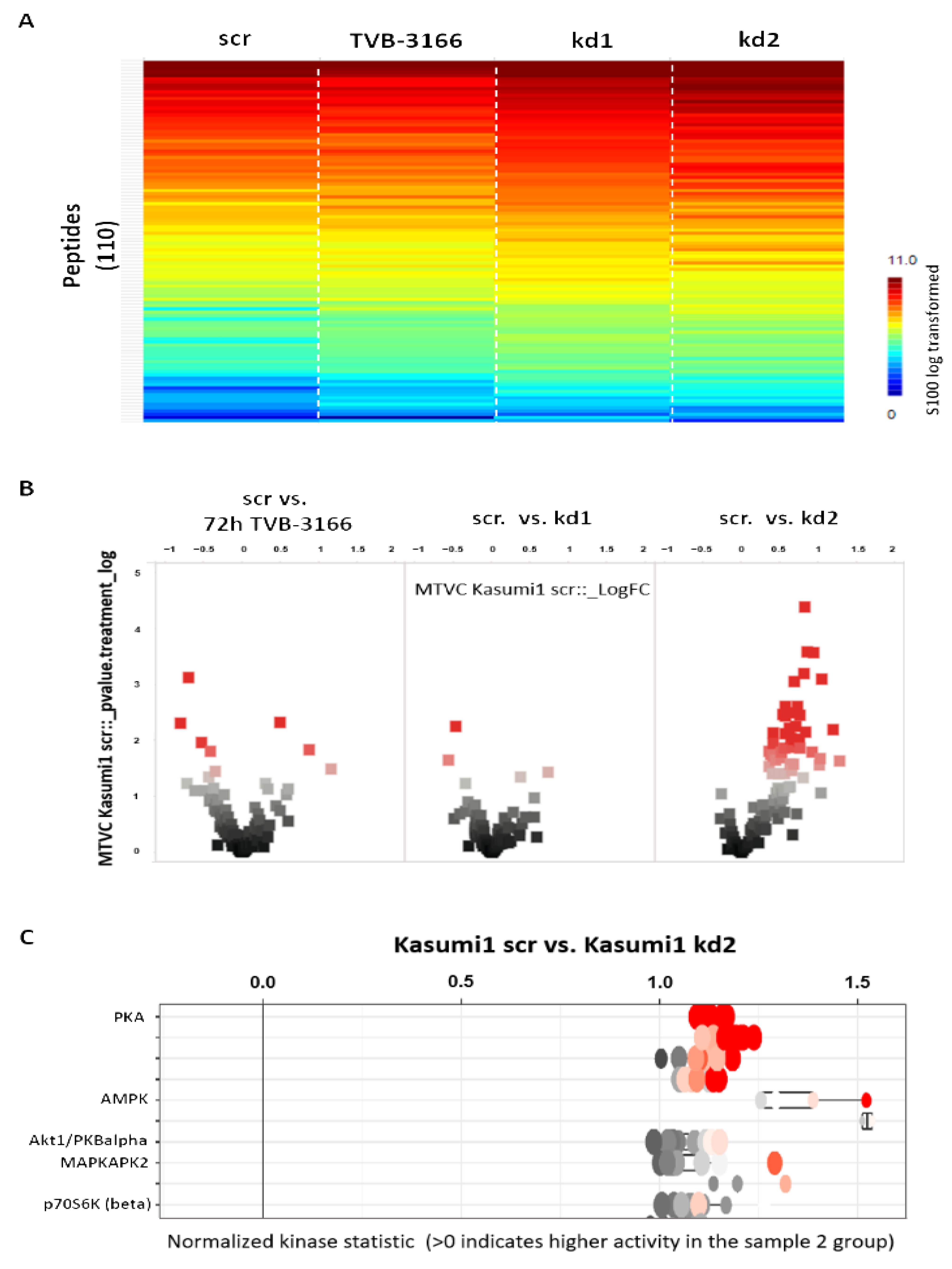 Biomedicines 13 00619 g007
