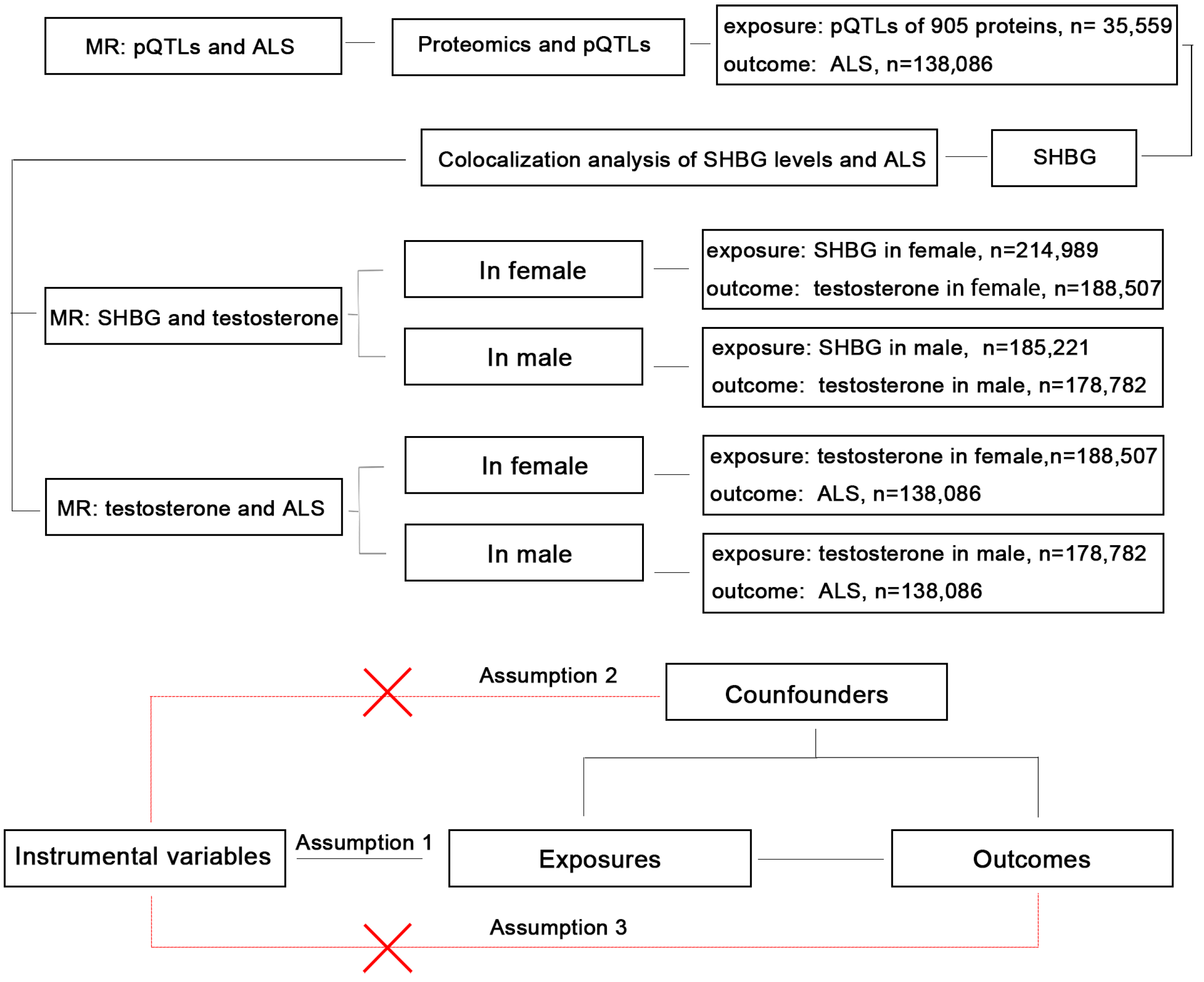 Biomedicines 13 00622 g001