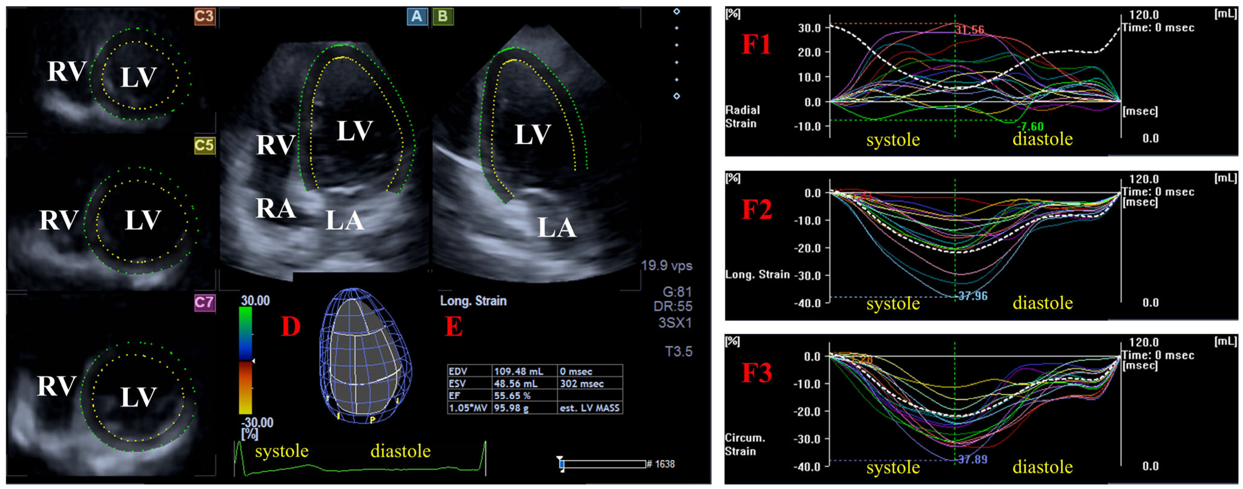 Biomedicines 13 00625 g002