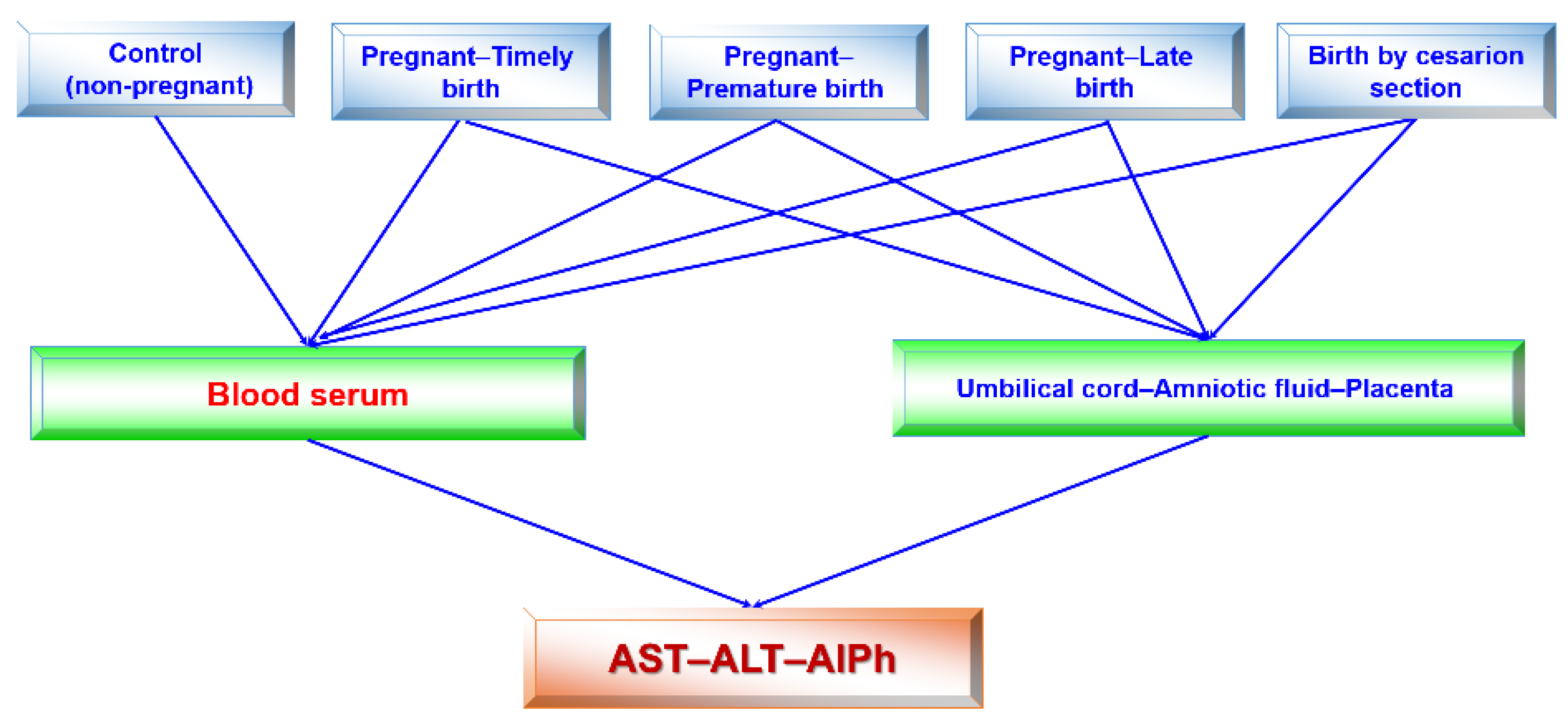 Biomedicines 13 00626 g002
