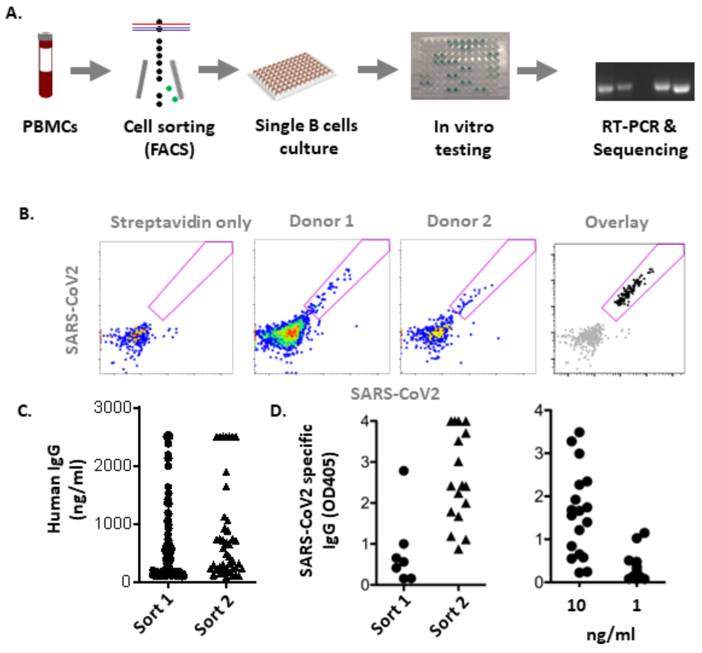 Biomedicines 13 00637 g001