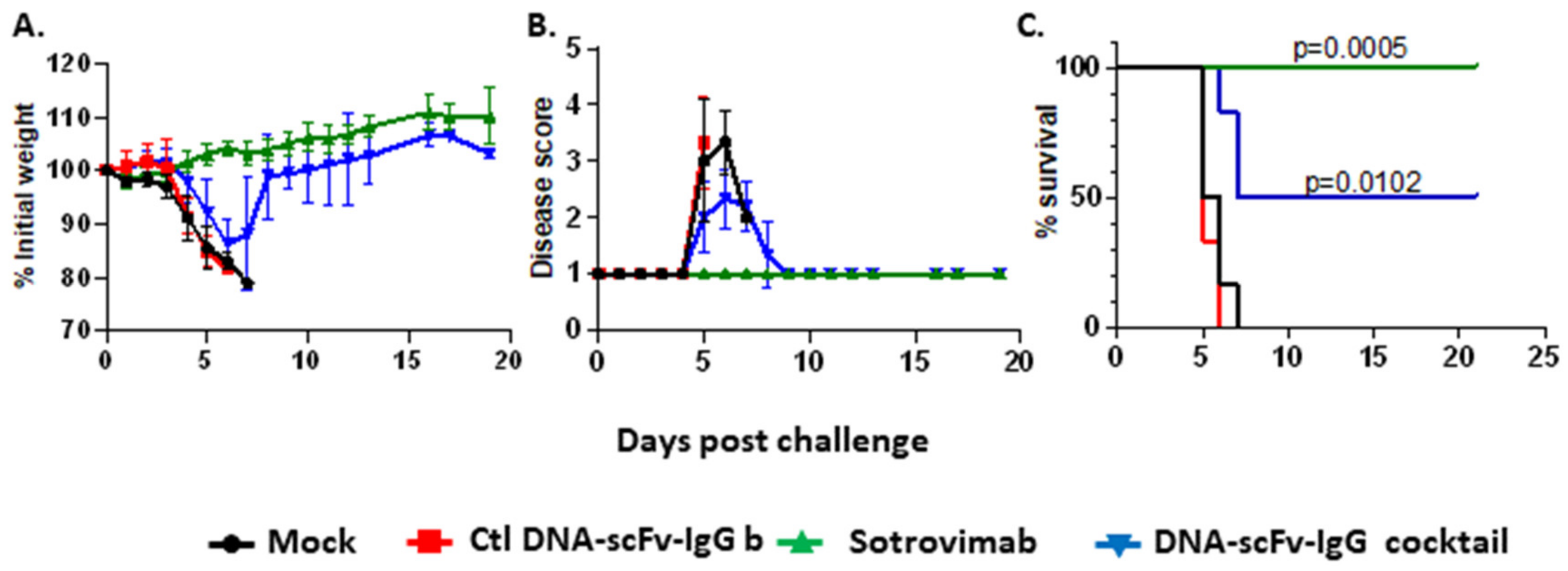 Biomedicines 13 00637 g005