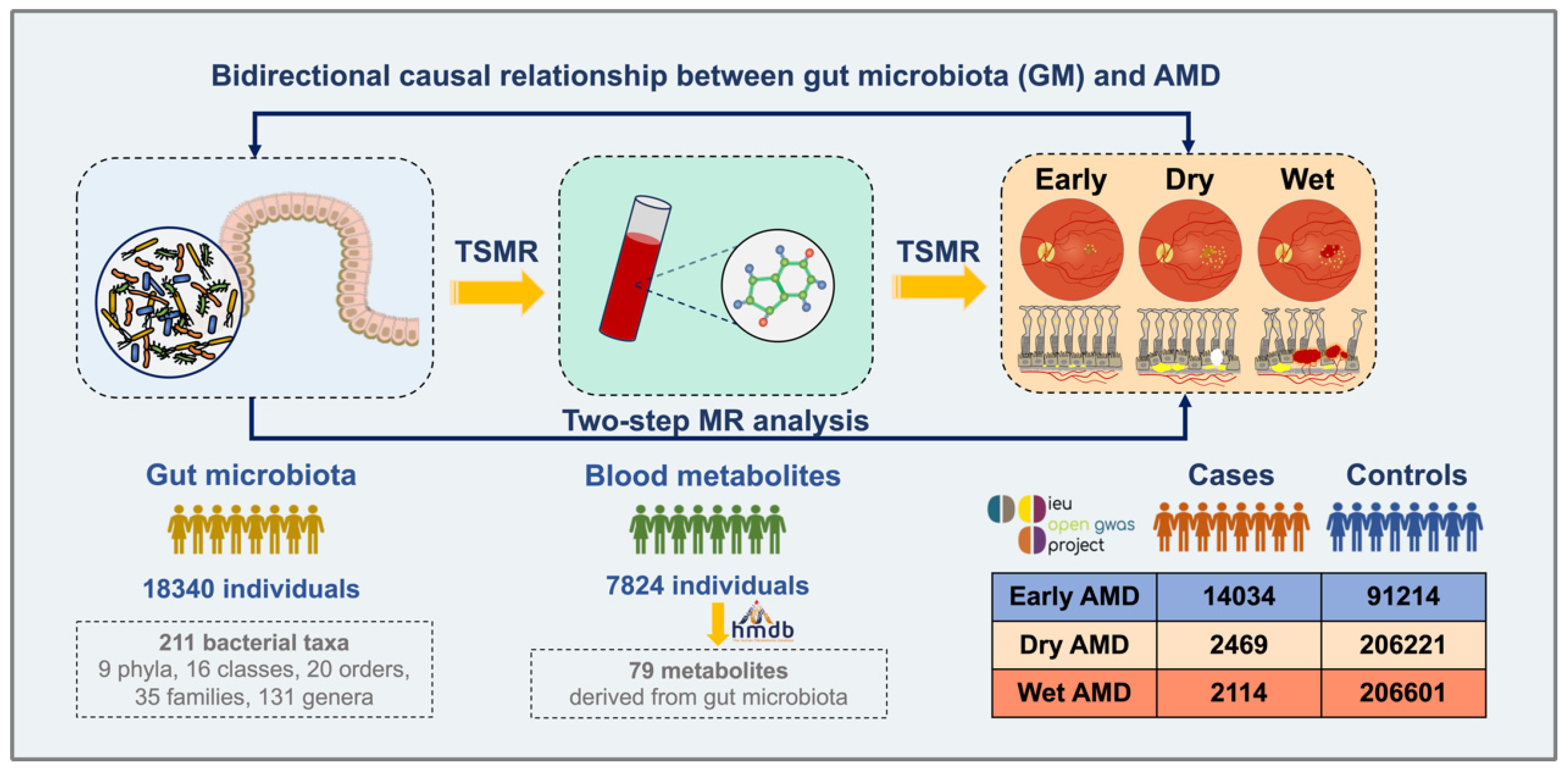 Biomedicines 13 00639 g001