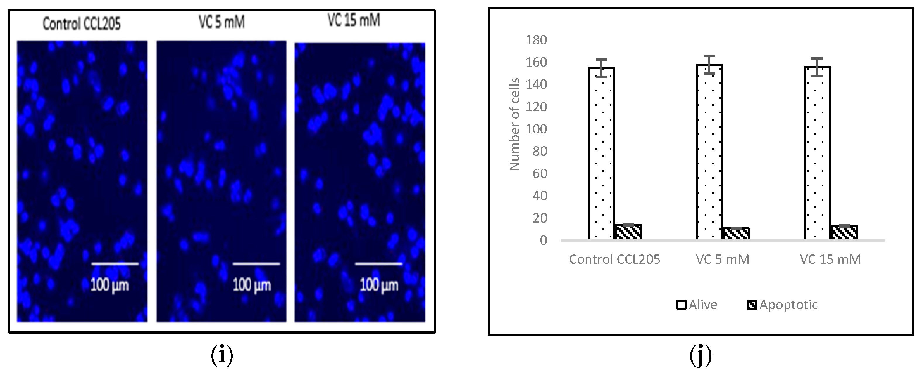 Biomedicines 13 00640 g004b