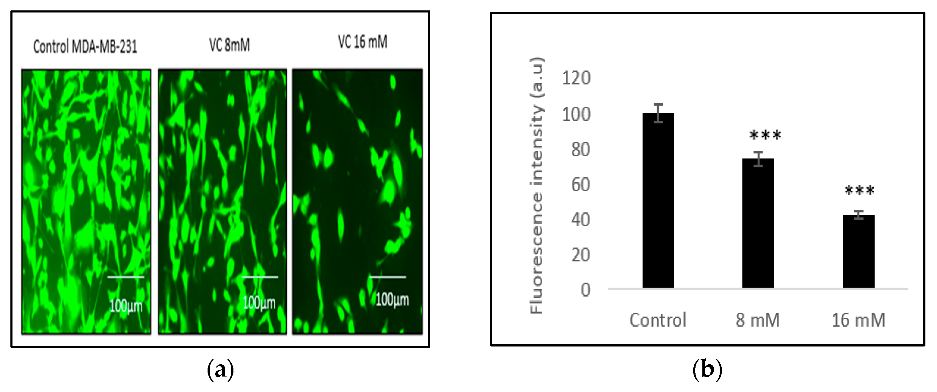 Biomedicines 13 00640 g005a
