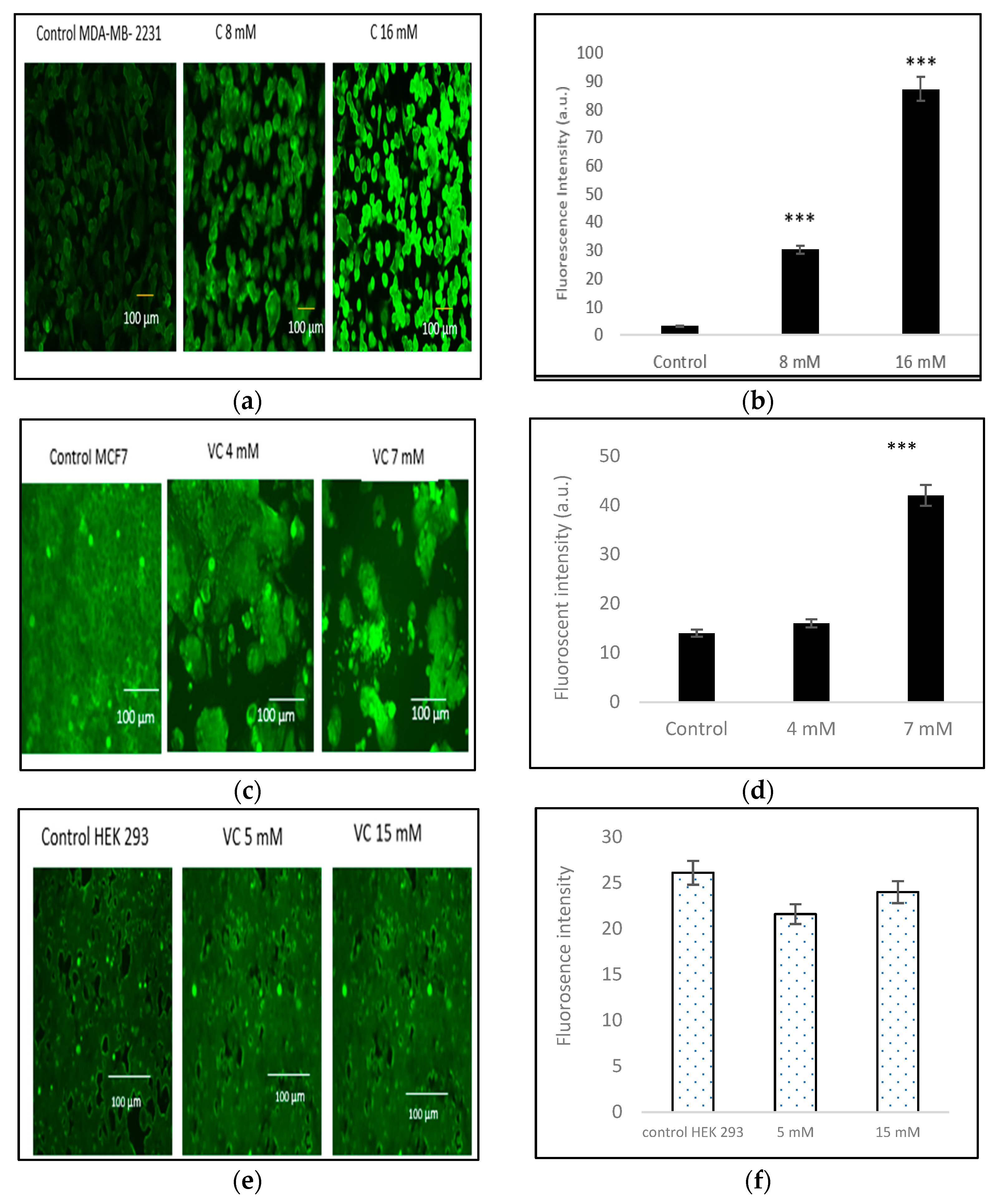 Biomedicines 13 00640 g006a