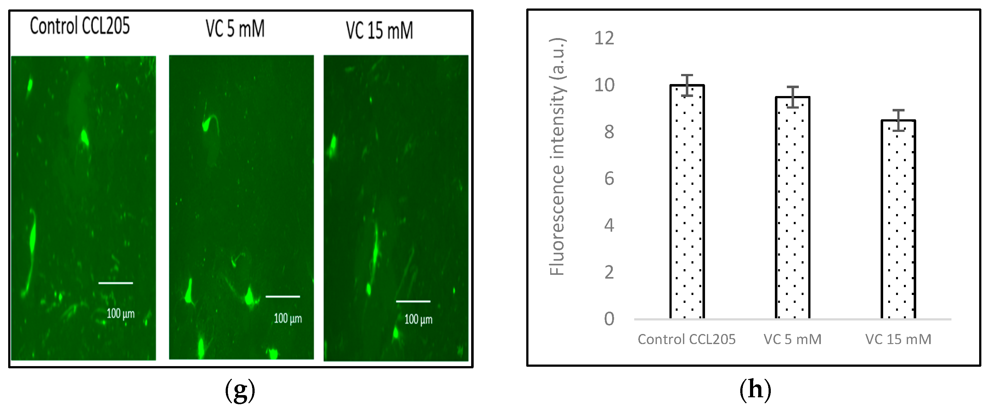 Biomedicines 13 00640 g006b
