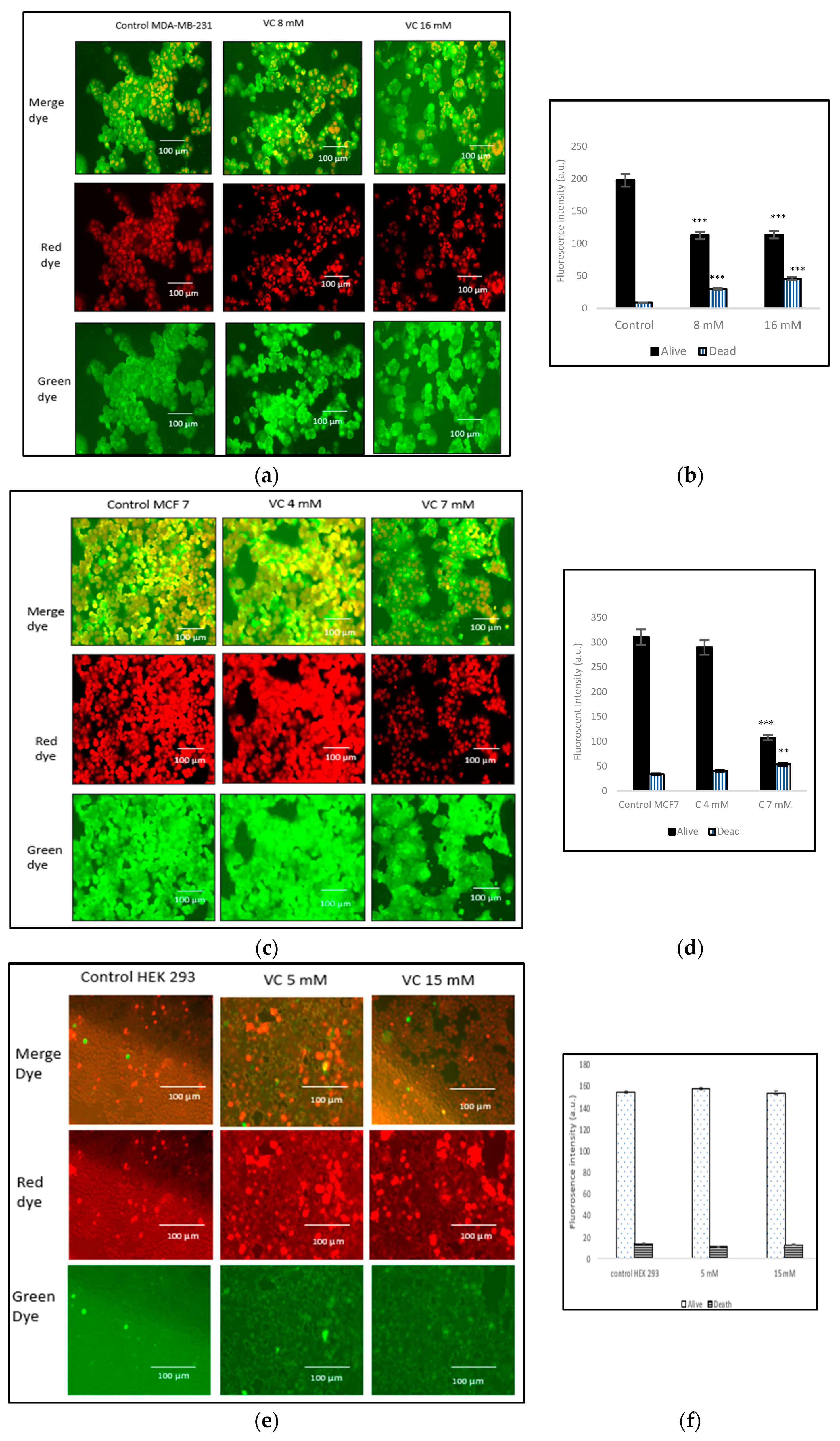 Biomedicines 13 00640 g007a