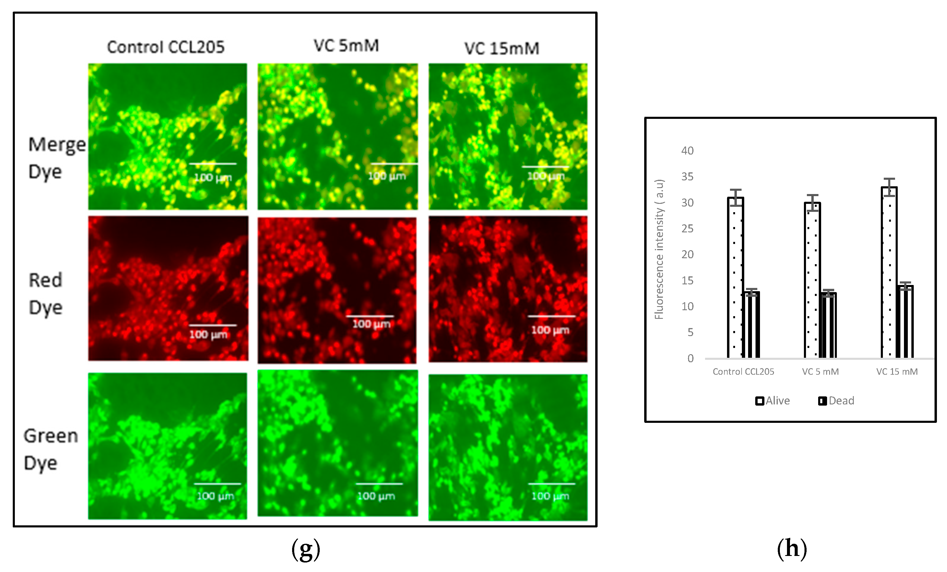 Biomedicines 13 00640 g007b