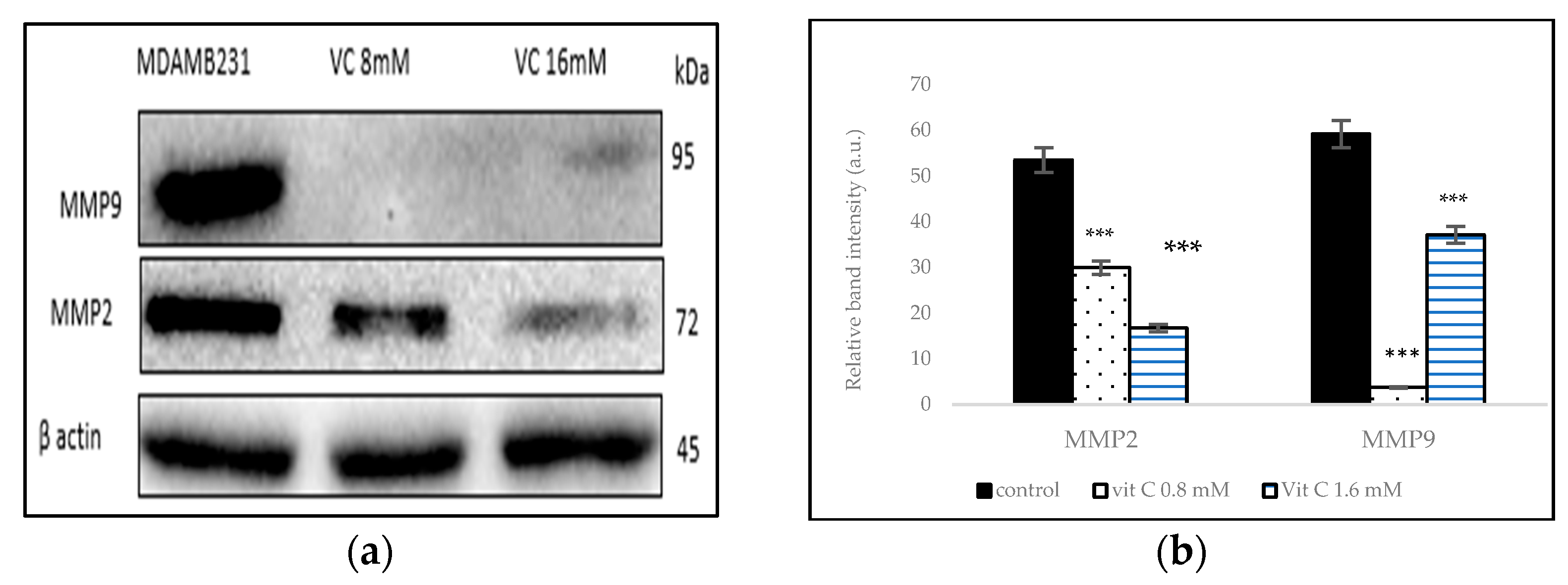 Biomedicines 13 00640 g009