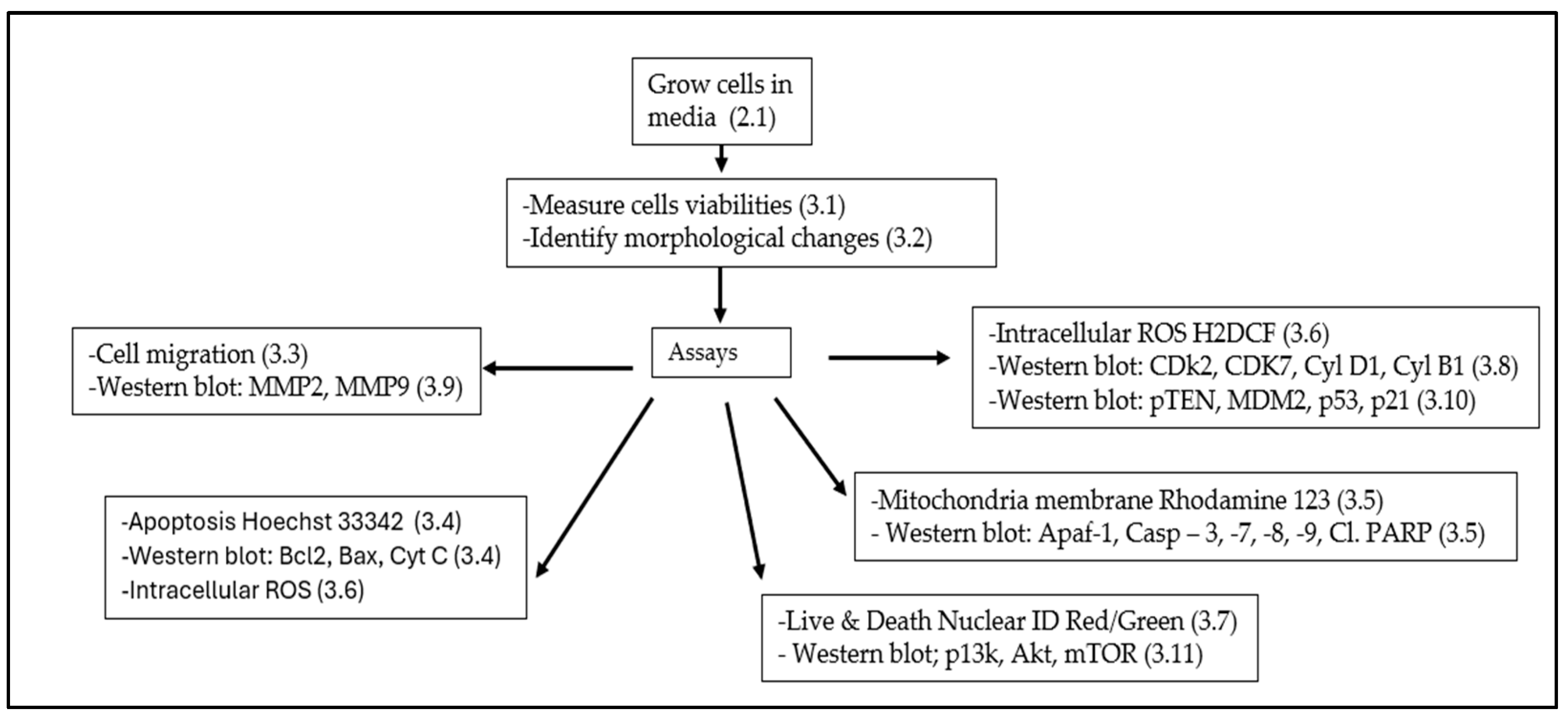 Biomedicines 13 00640 i001