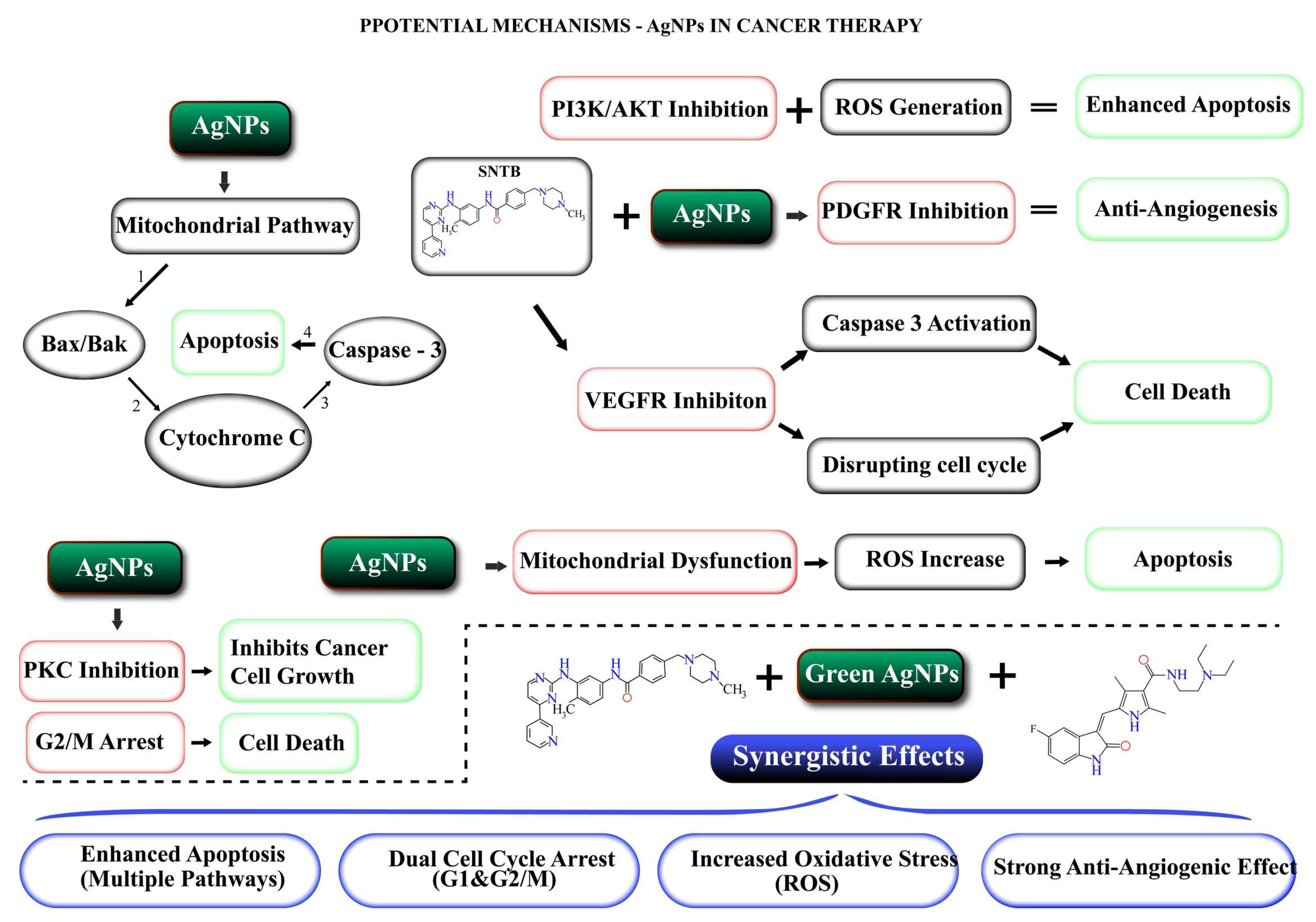 Biomedicines 13 00641 g009