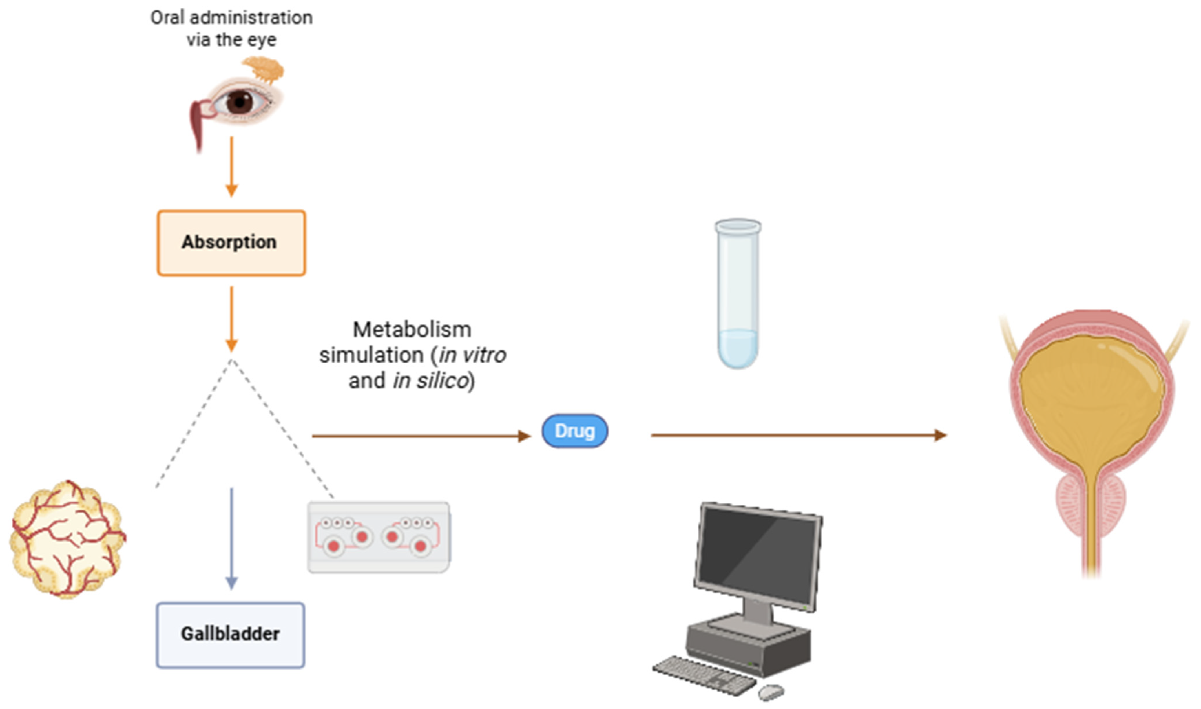 Biomedicines 13 00645 g004