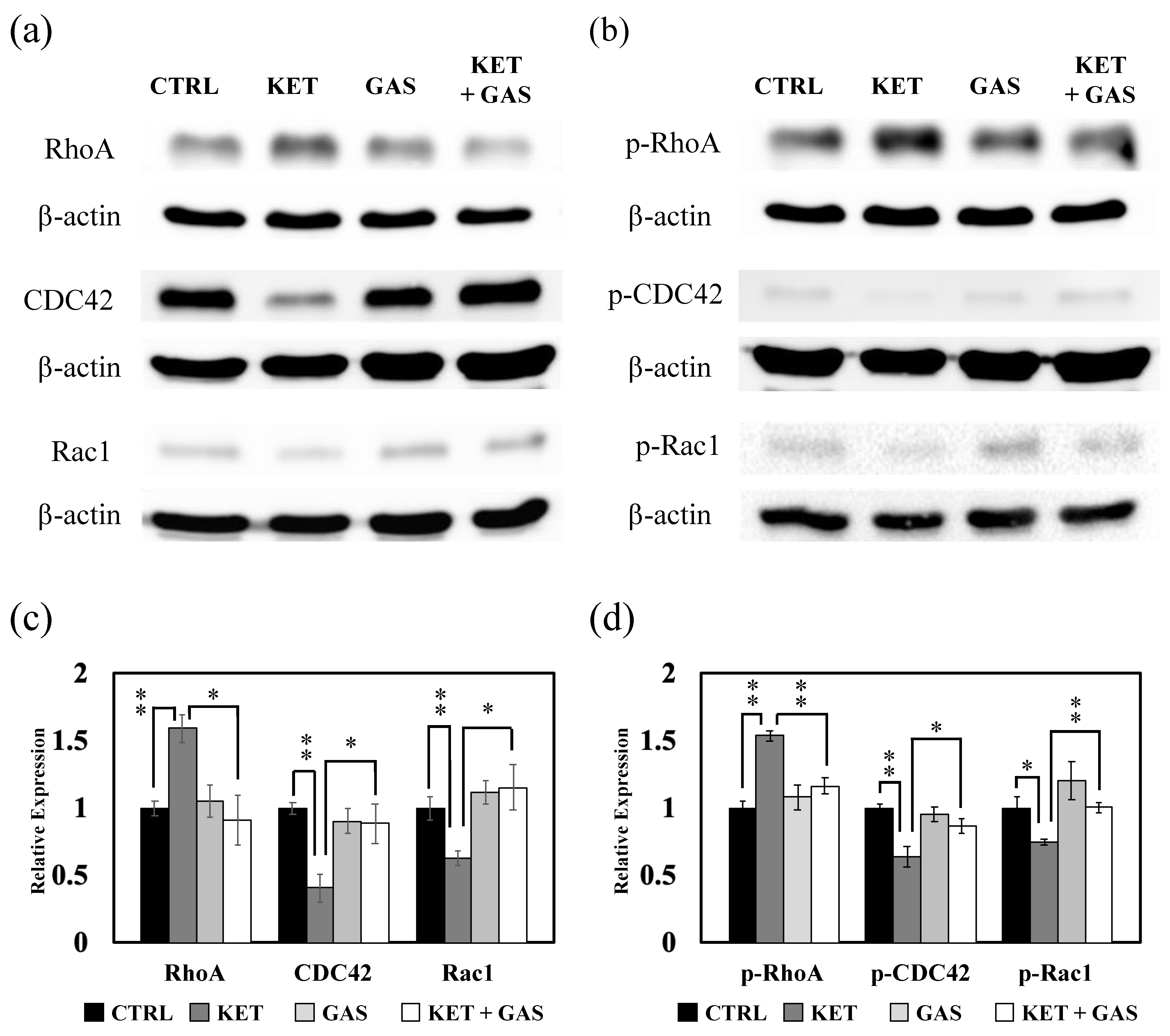 Biomedicines 13 00649 g008 Biomedicines 13 00649 g008