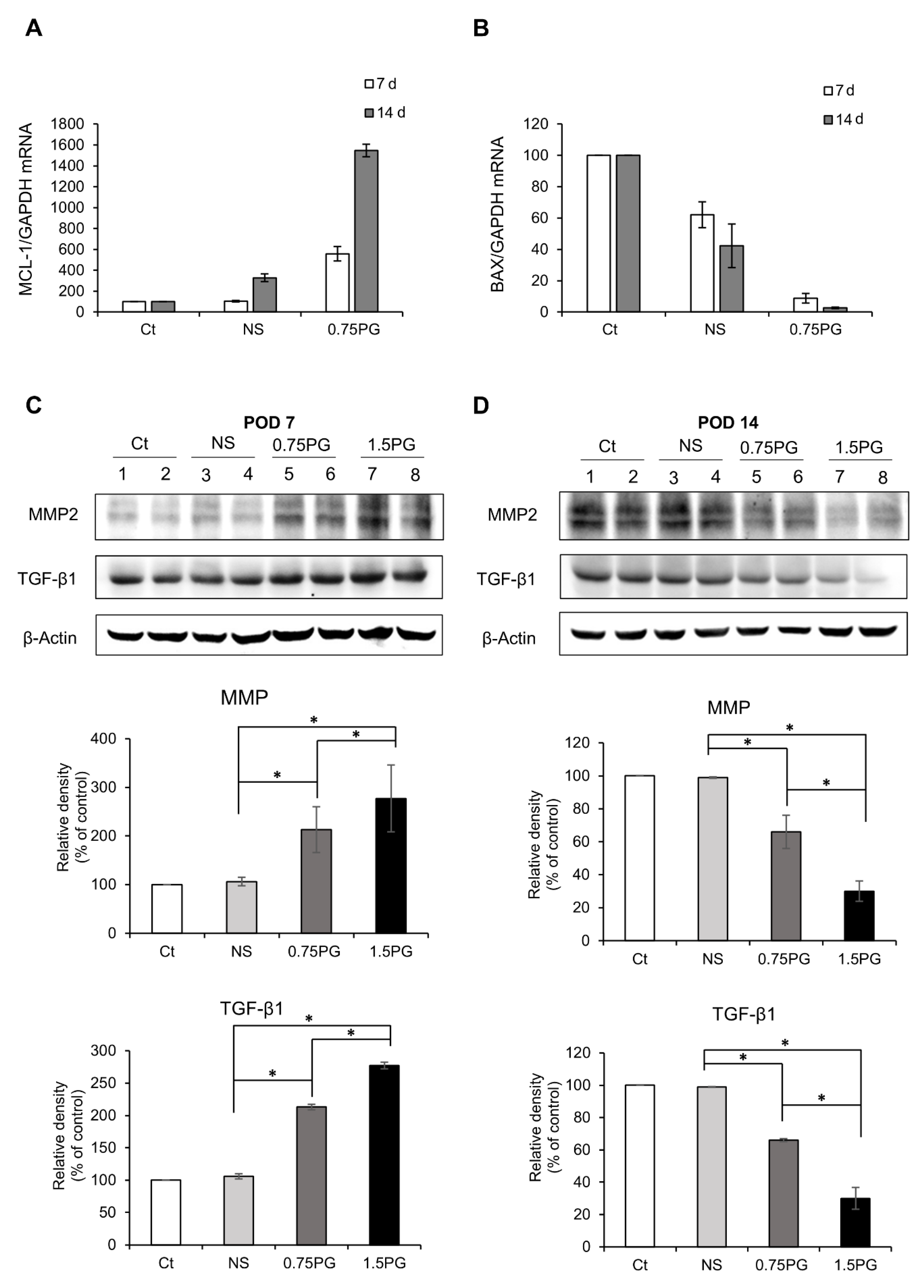 Biomedicines 13 00650 g003
