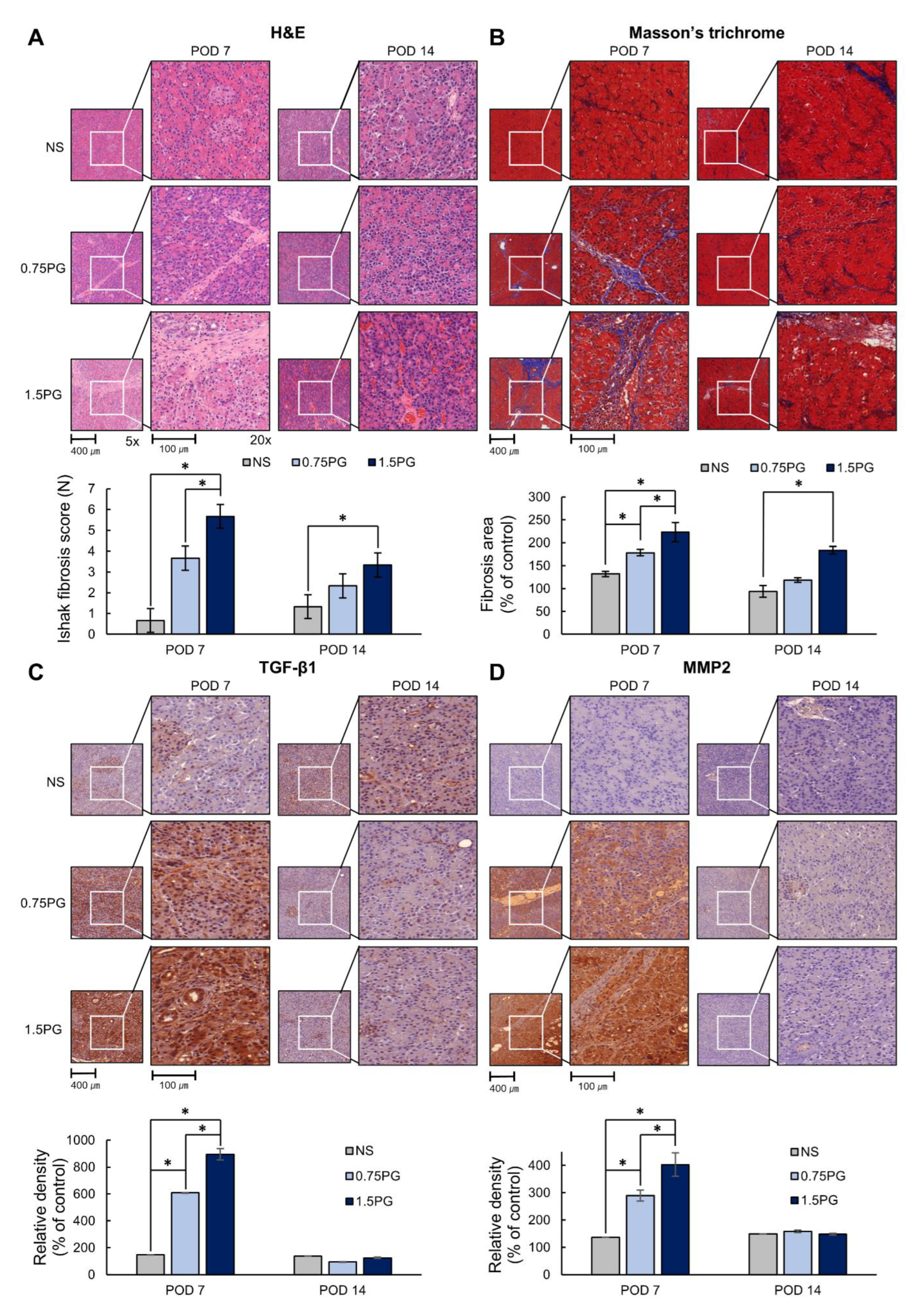 Biomedicines 13 00650 g004