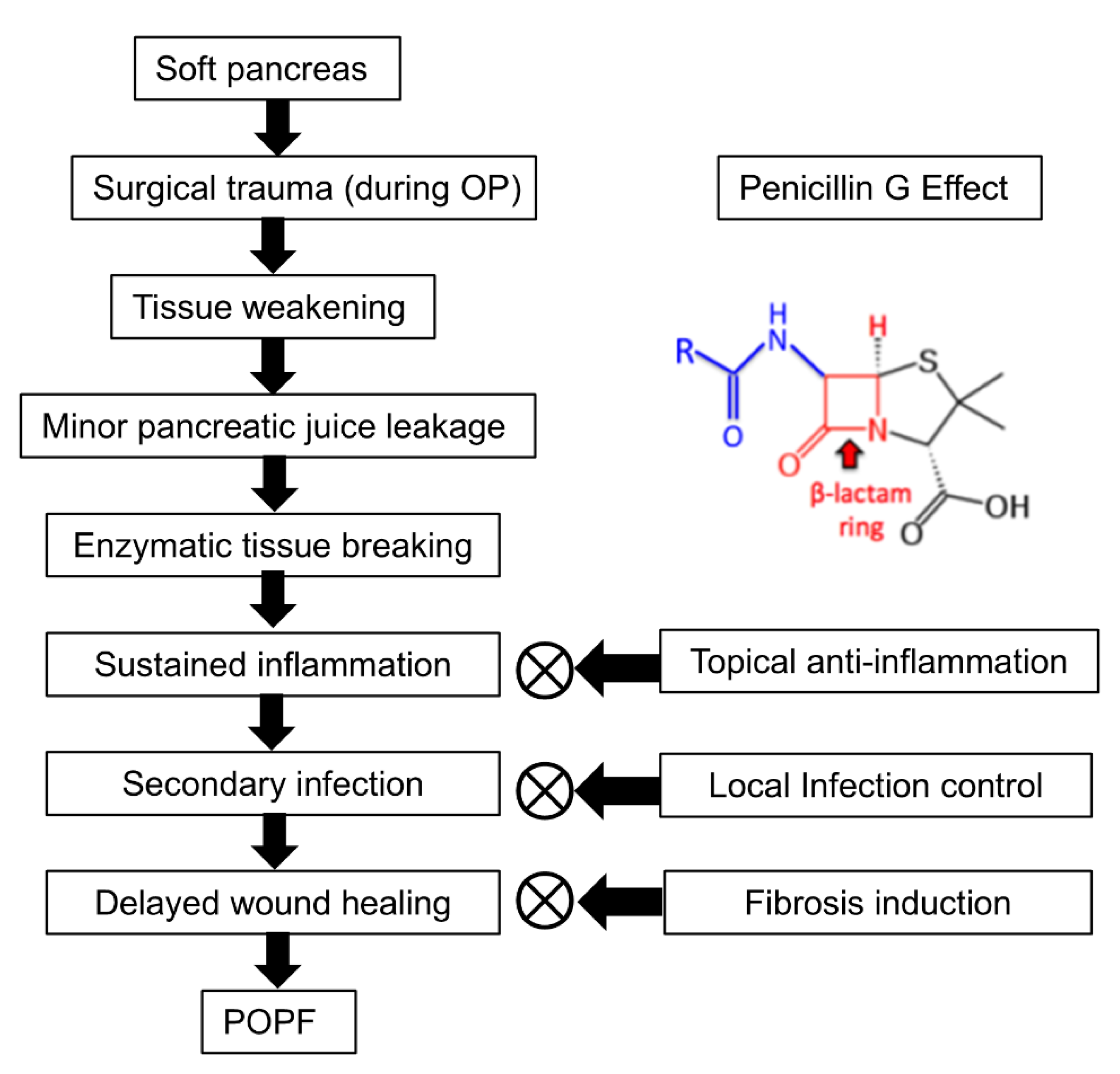 Biomedicines 13 00650 g007