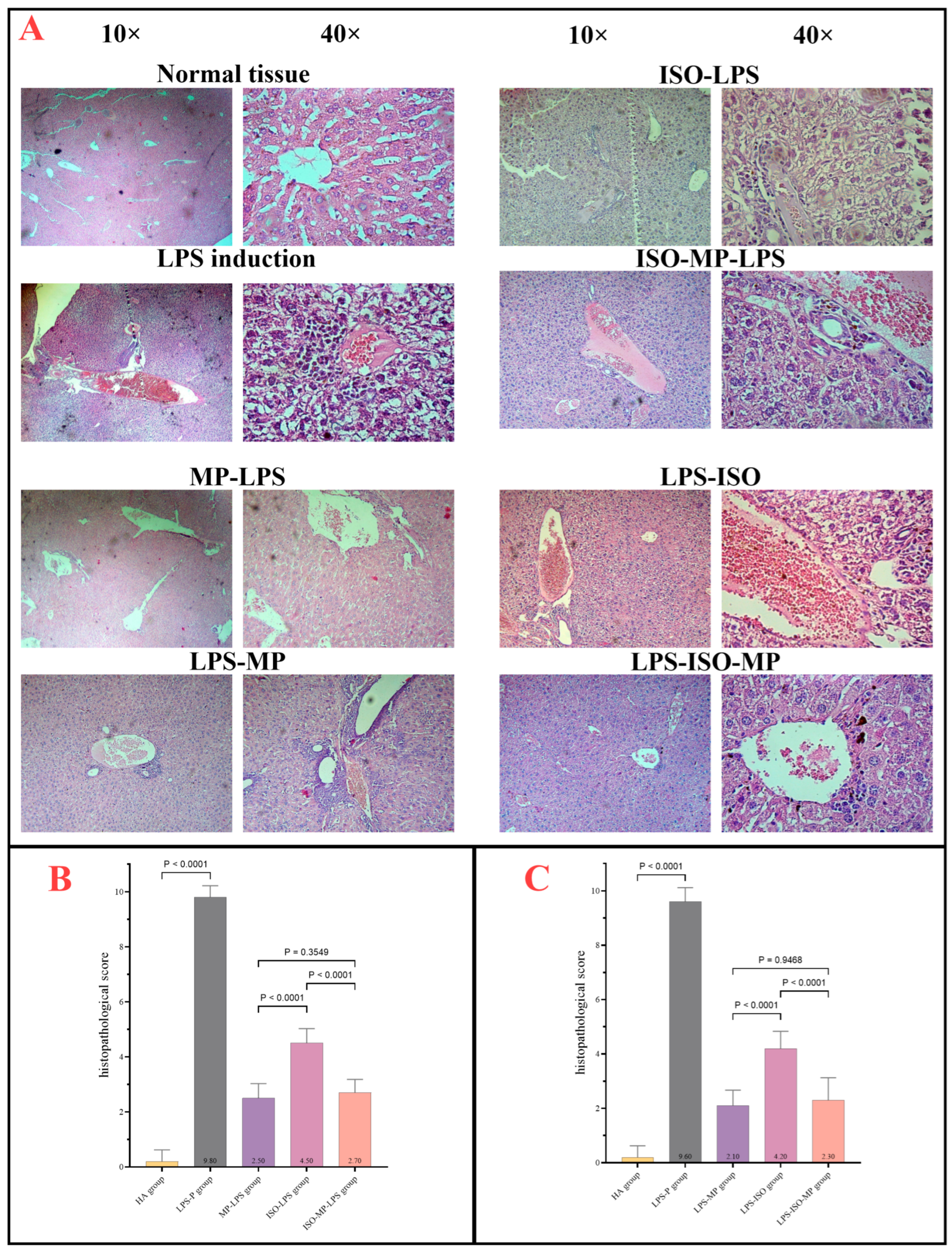 Biomedicines 13 00653 g005
