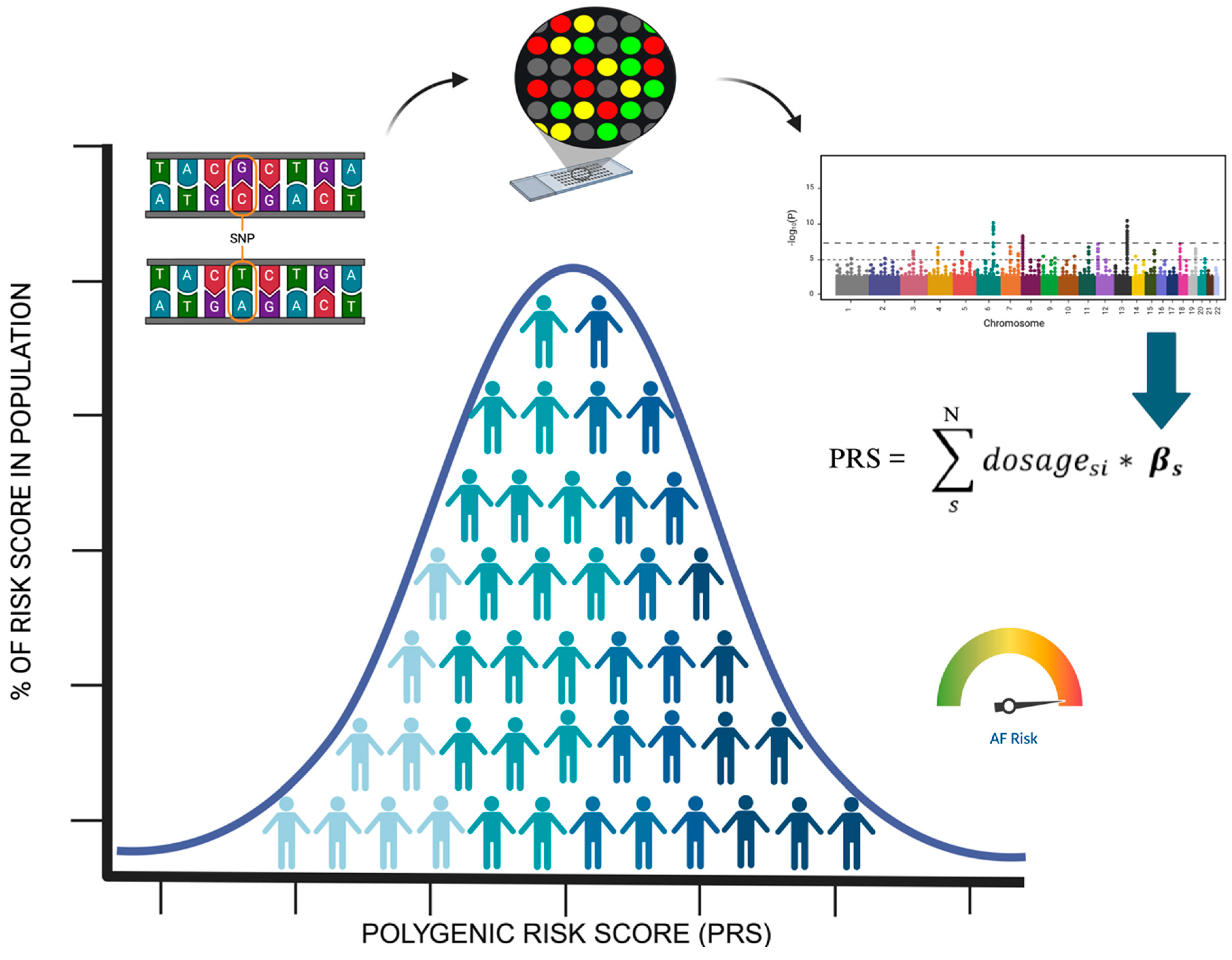 Biomedicines 13 00654 g001