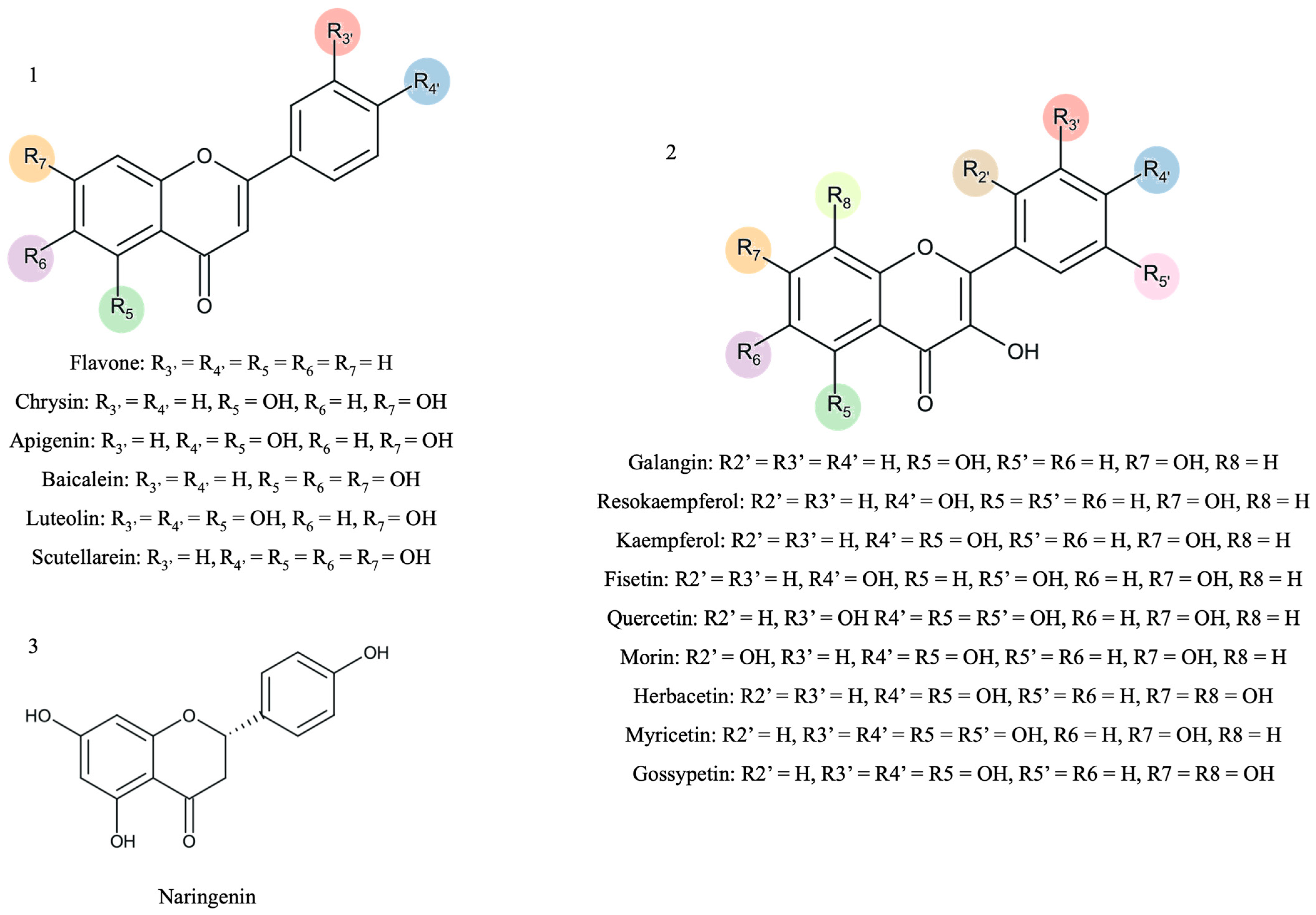 Biomedicines 13 00655 g001