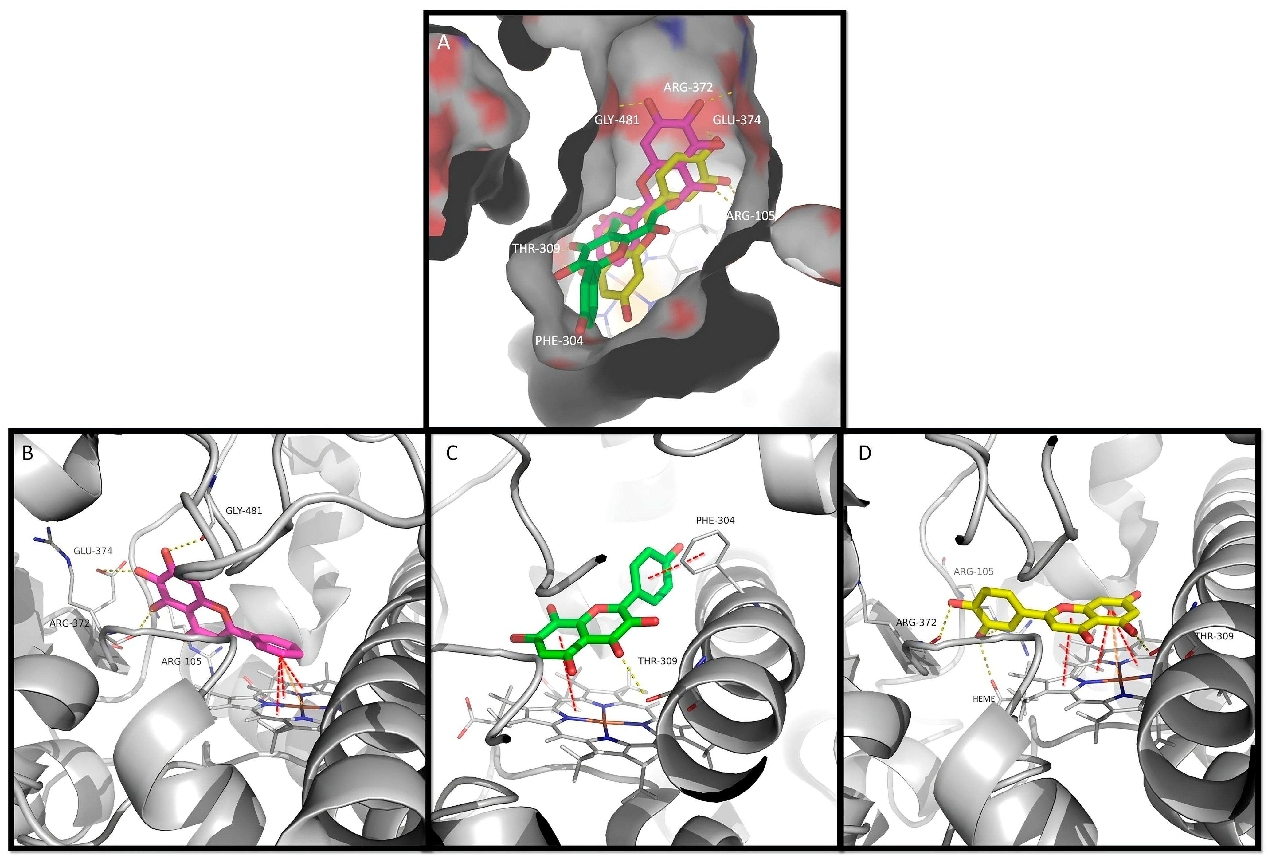 Biomedicines 13 00655 g003