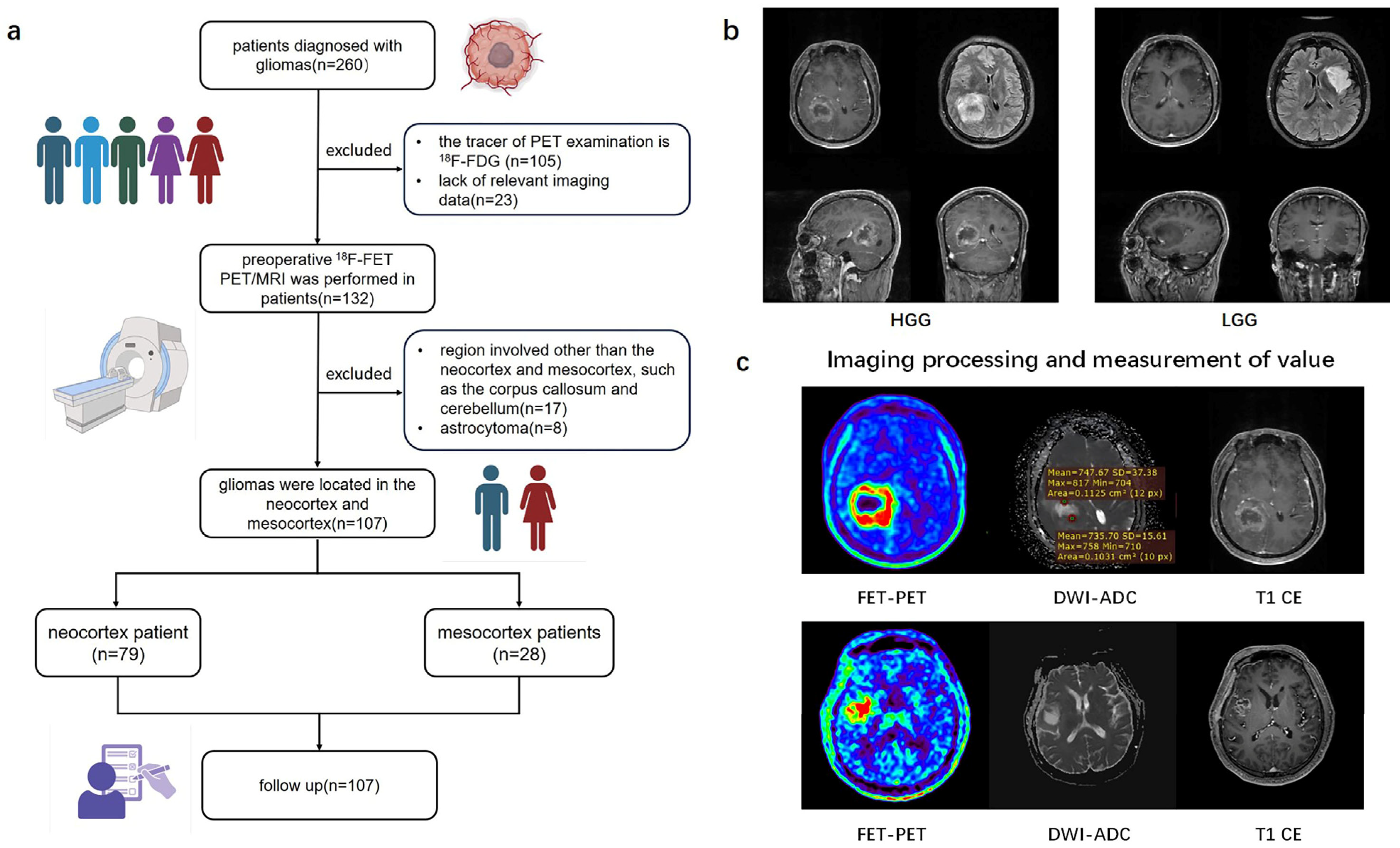 Biomedicines 13 00657 g001