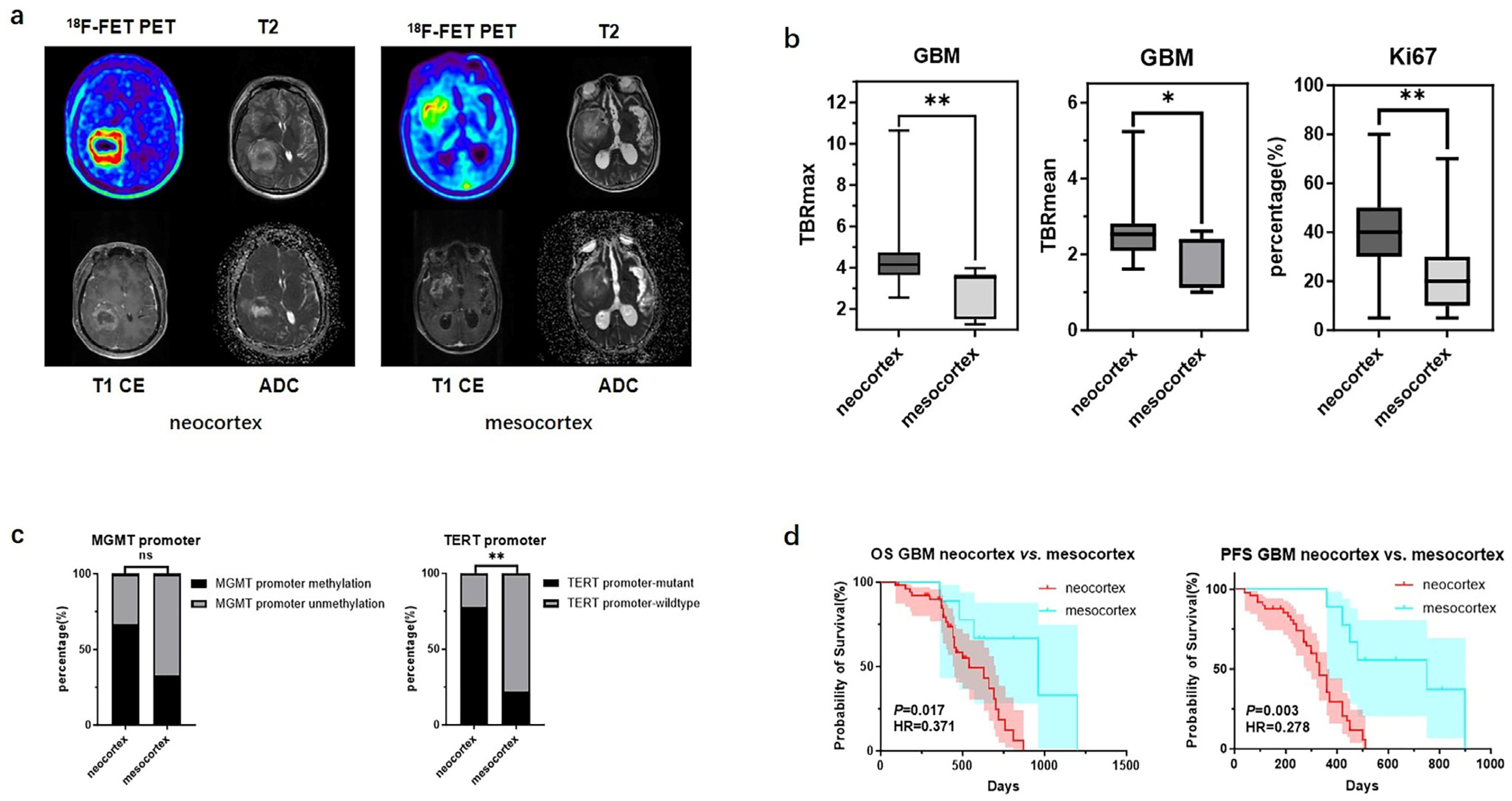 Biomedicines 13 00657 g002