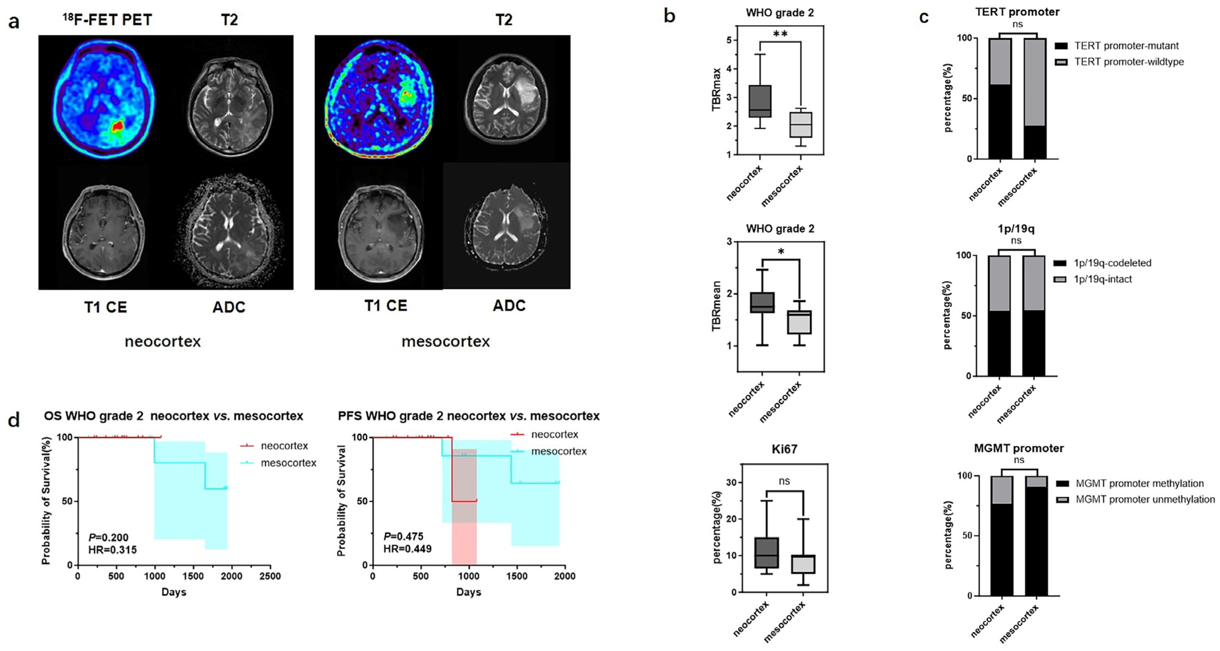 Biomedicines 13 00657 g004