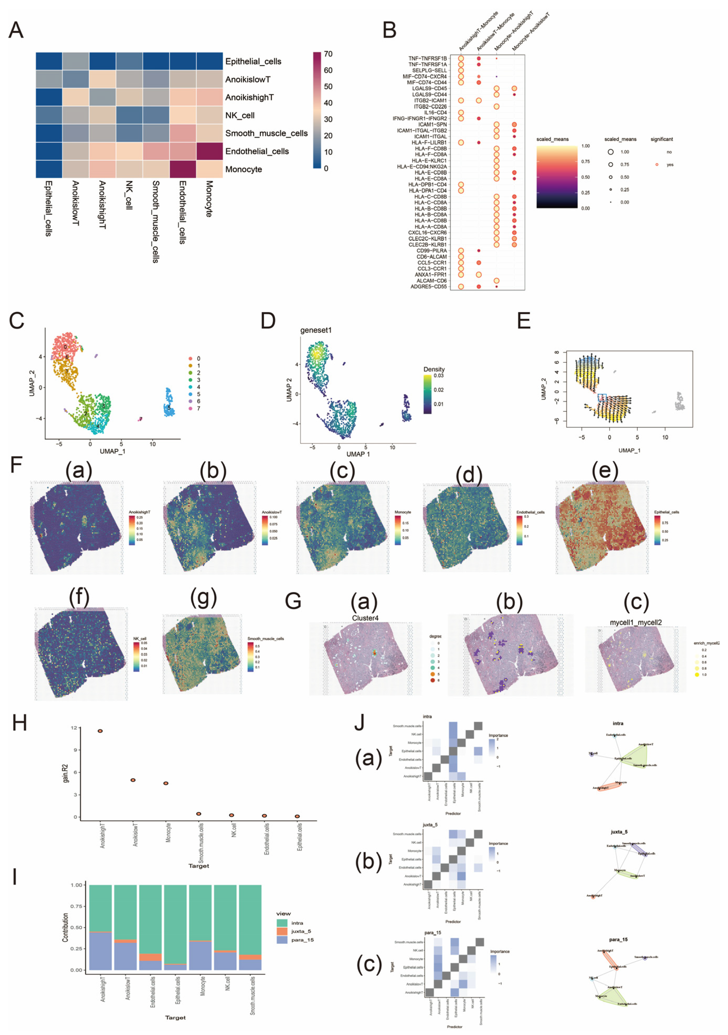 Biomedicines 13 00661 g001 Biomedicines 13 00661 g001