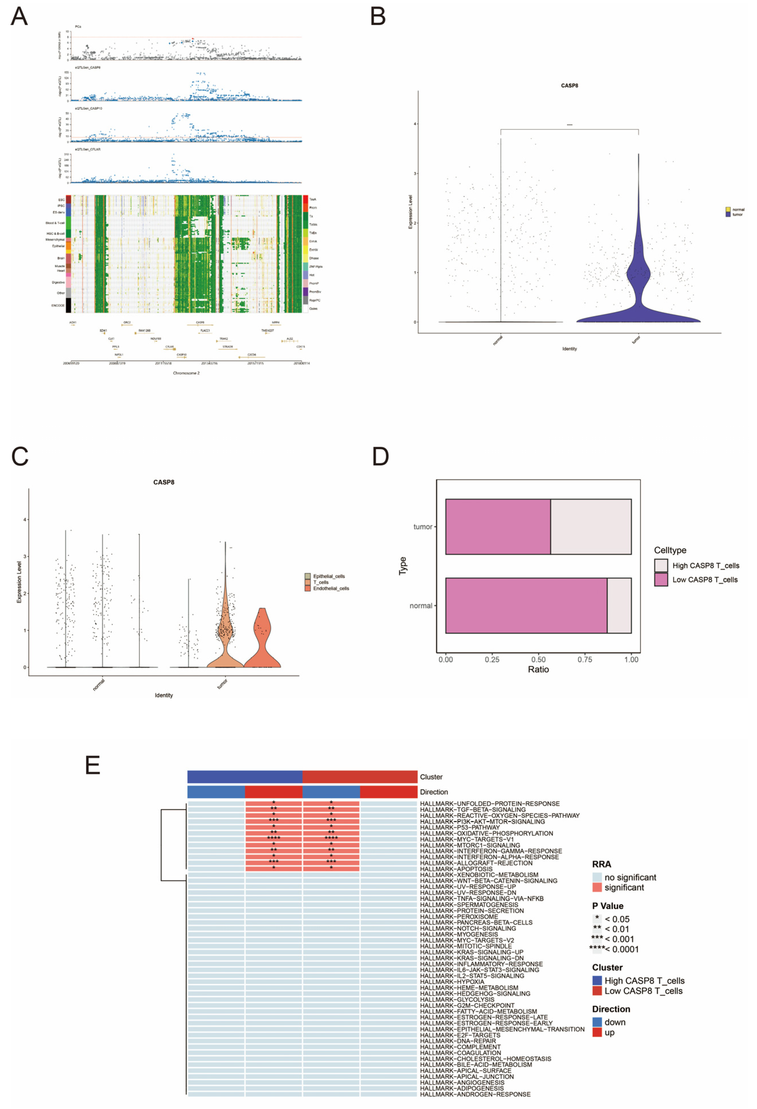 Biomedicines 13 00661 g002 Biomedicines 13 00661 g002