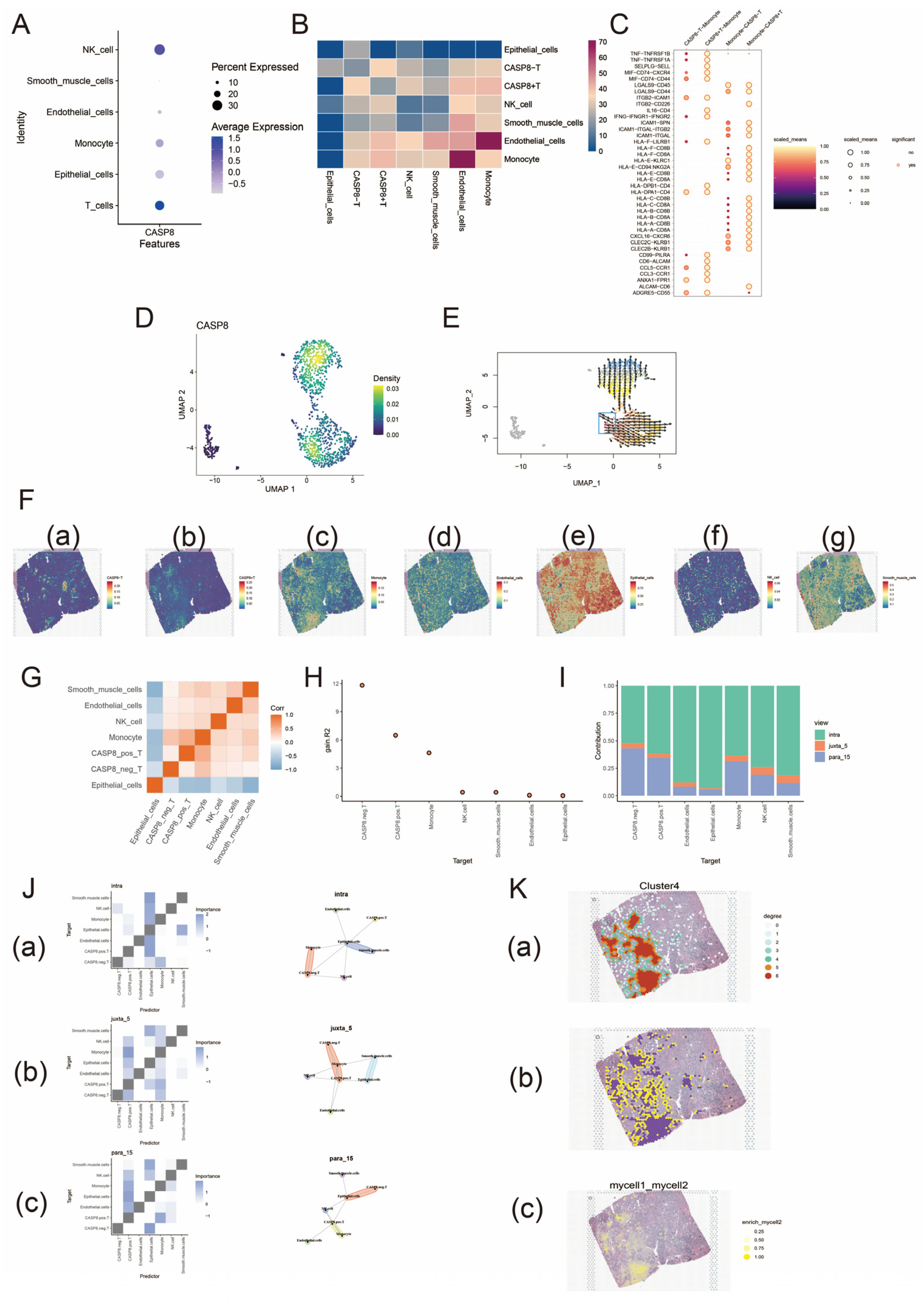 Biomedicines 13 00661 g003 Biomedicines 13 00661 g003