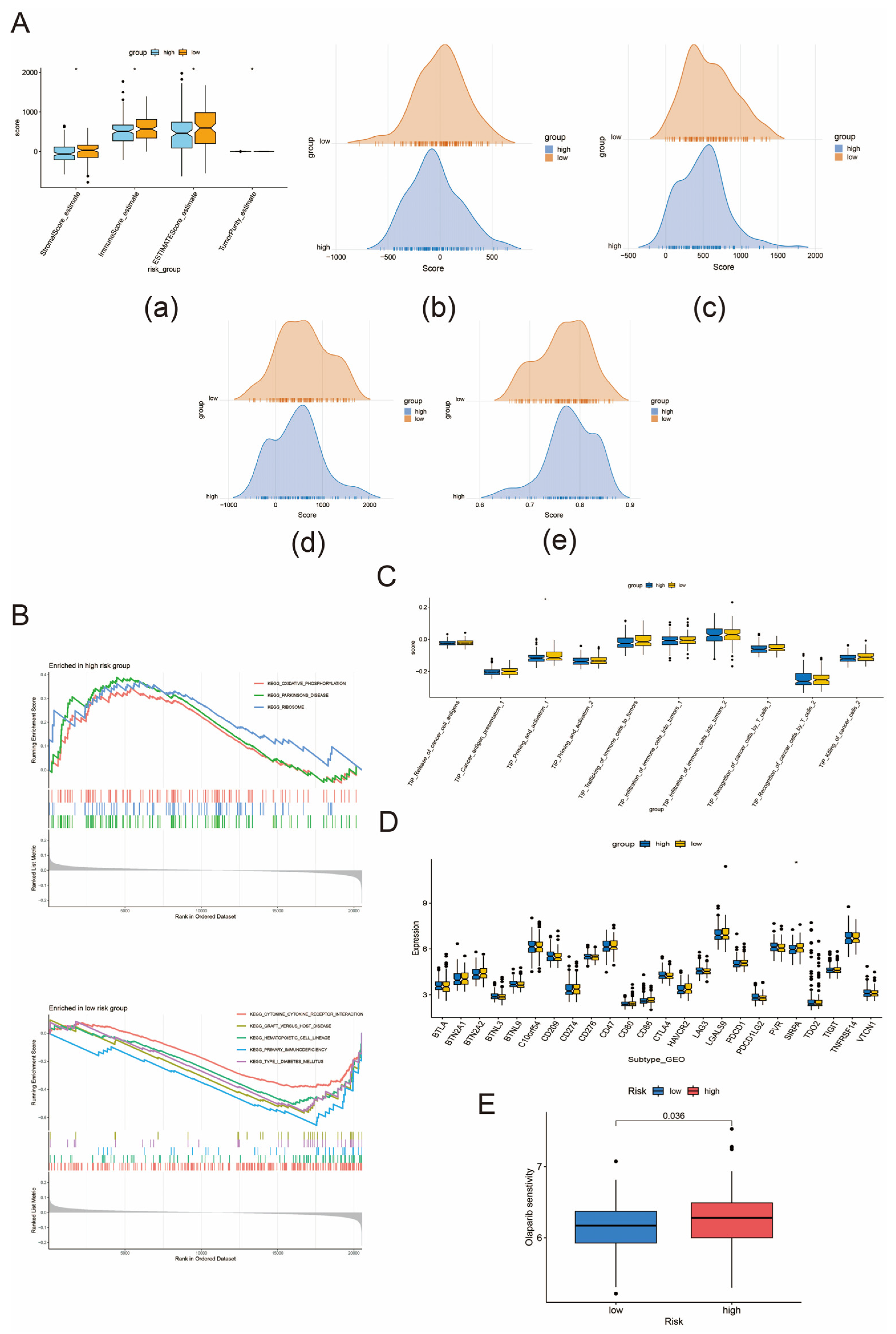 Biomedicines 13 00661 g006 Biomedicines 13 00661 g006