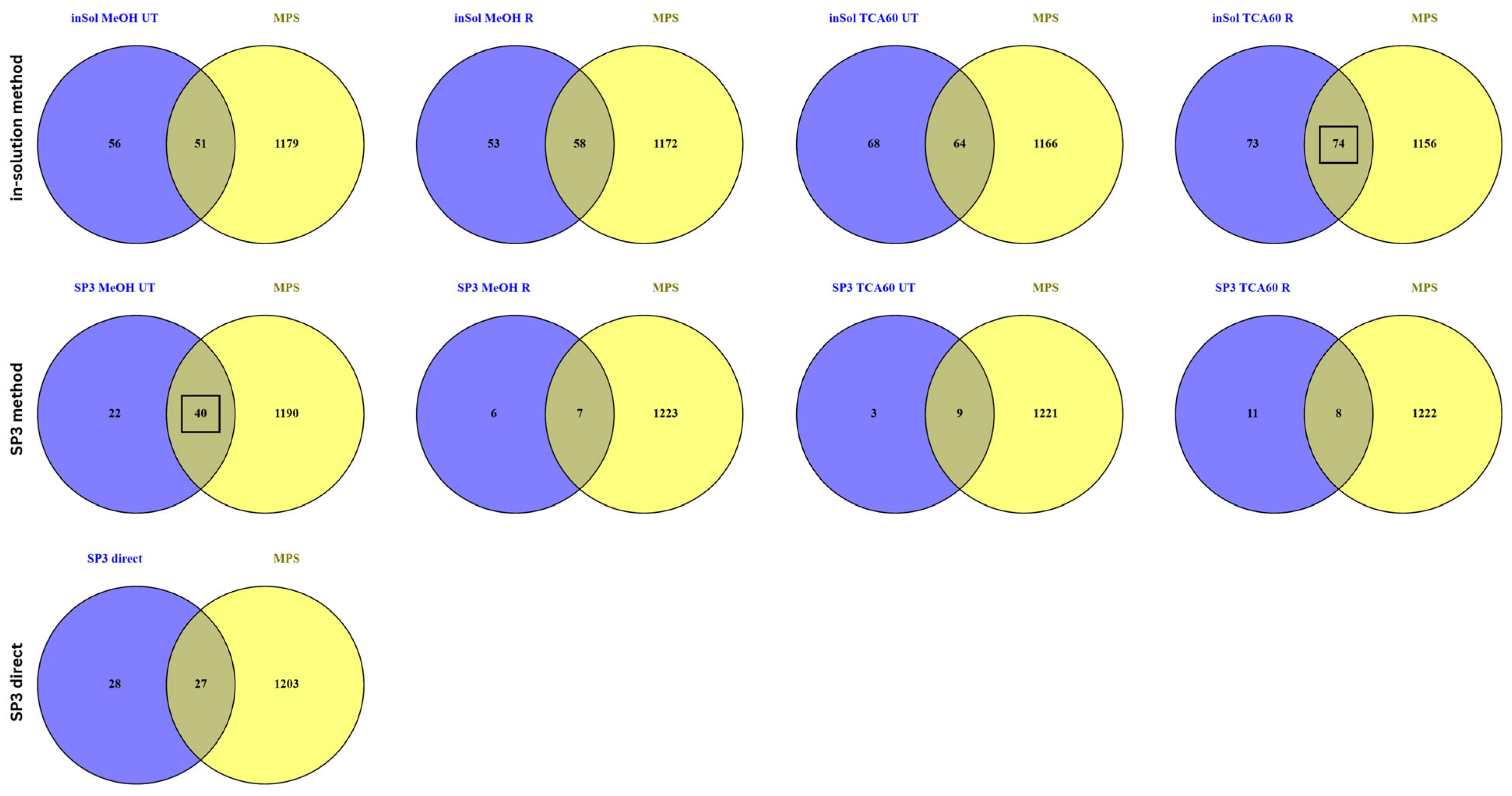 Biomedicines 13 00662 g005
