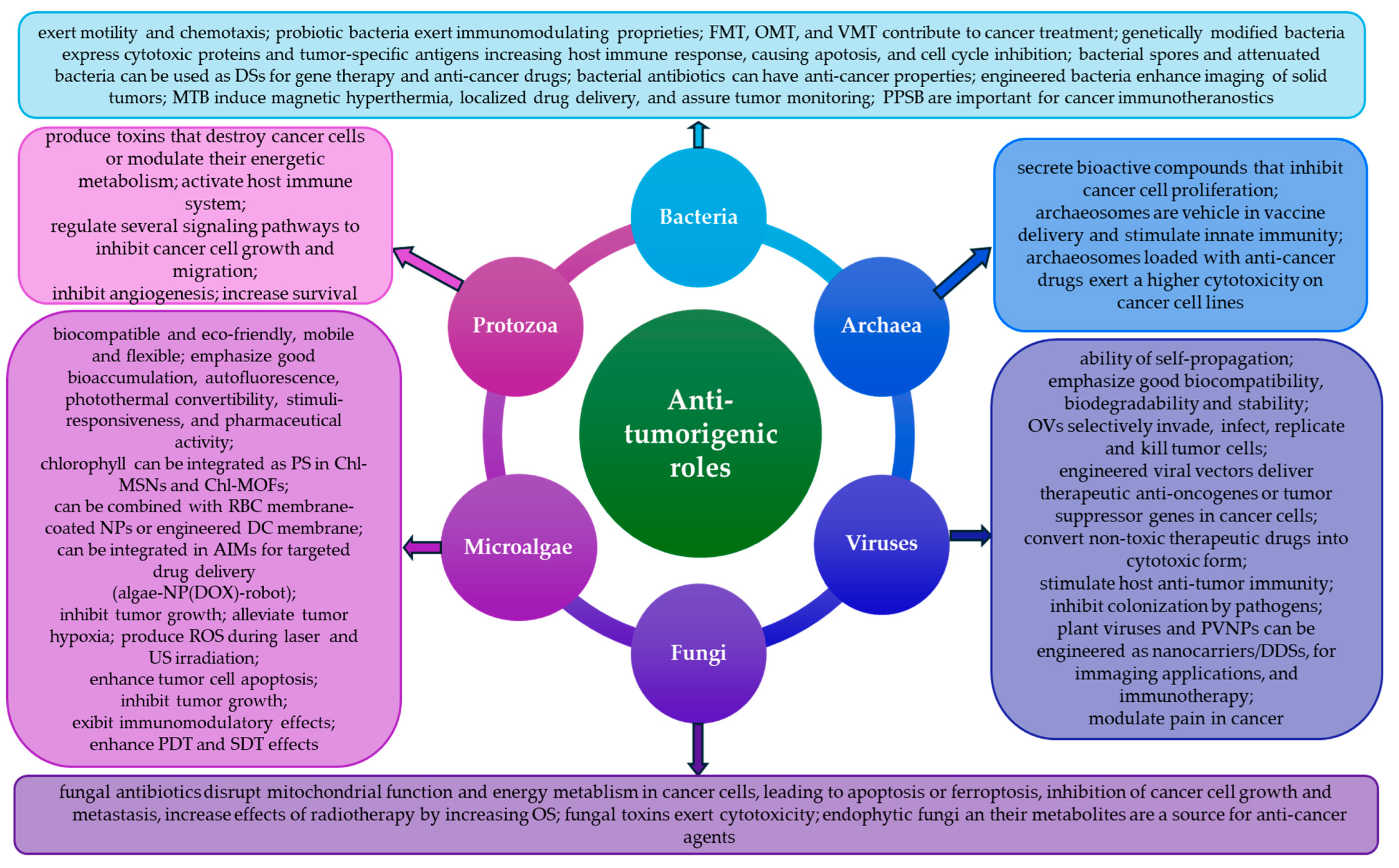 Biomedicines 13 00665 g002 Biomedicines 13 00665 g002