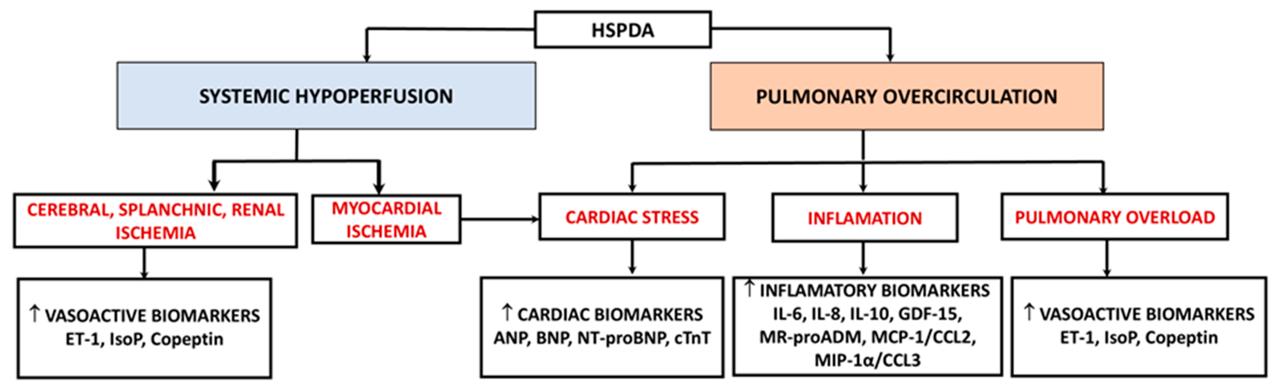 Biomedicines 13 00670 g002 Biomedicines 13 00670 g002