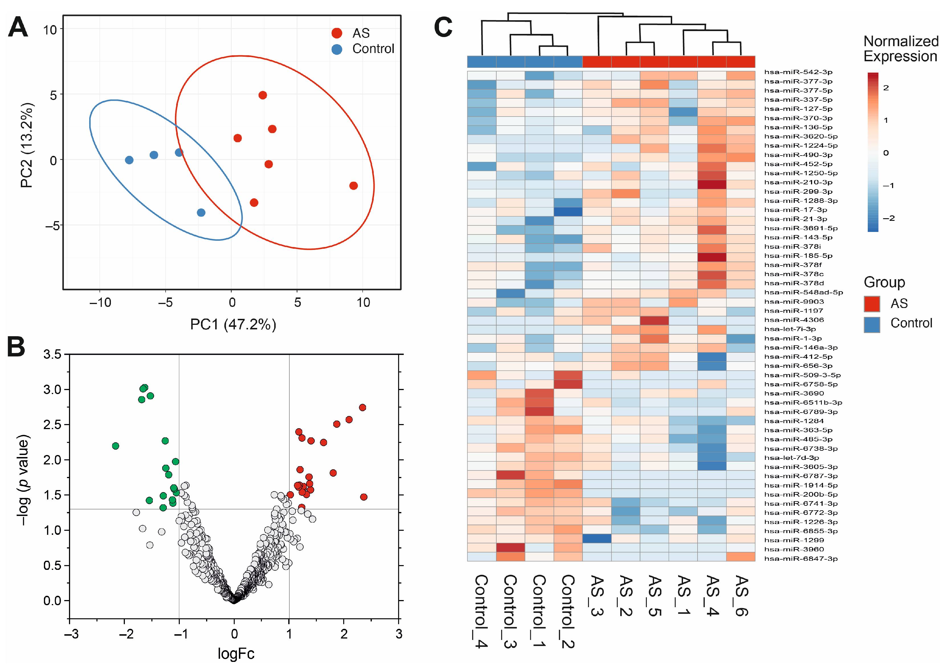 Biomedicines 13 00671 g001