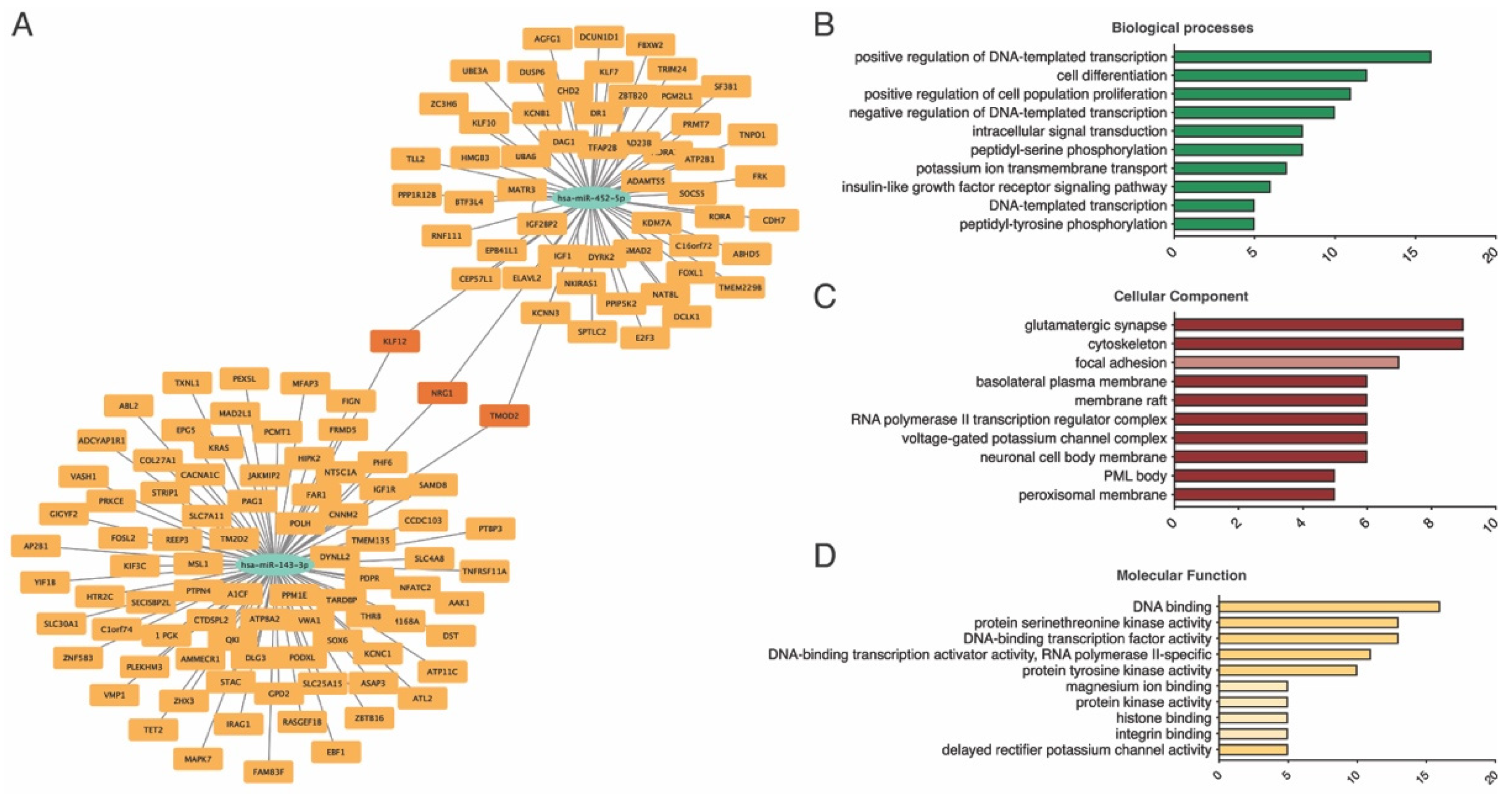 Biomedicines 13 00671 g006