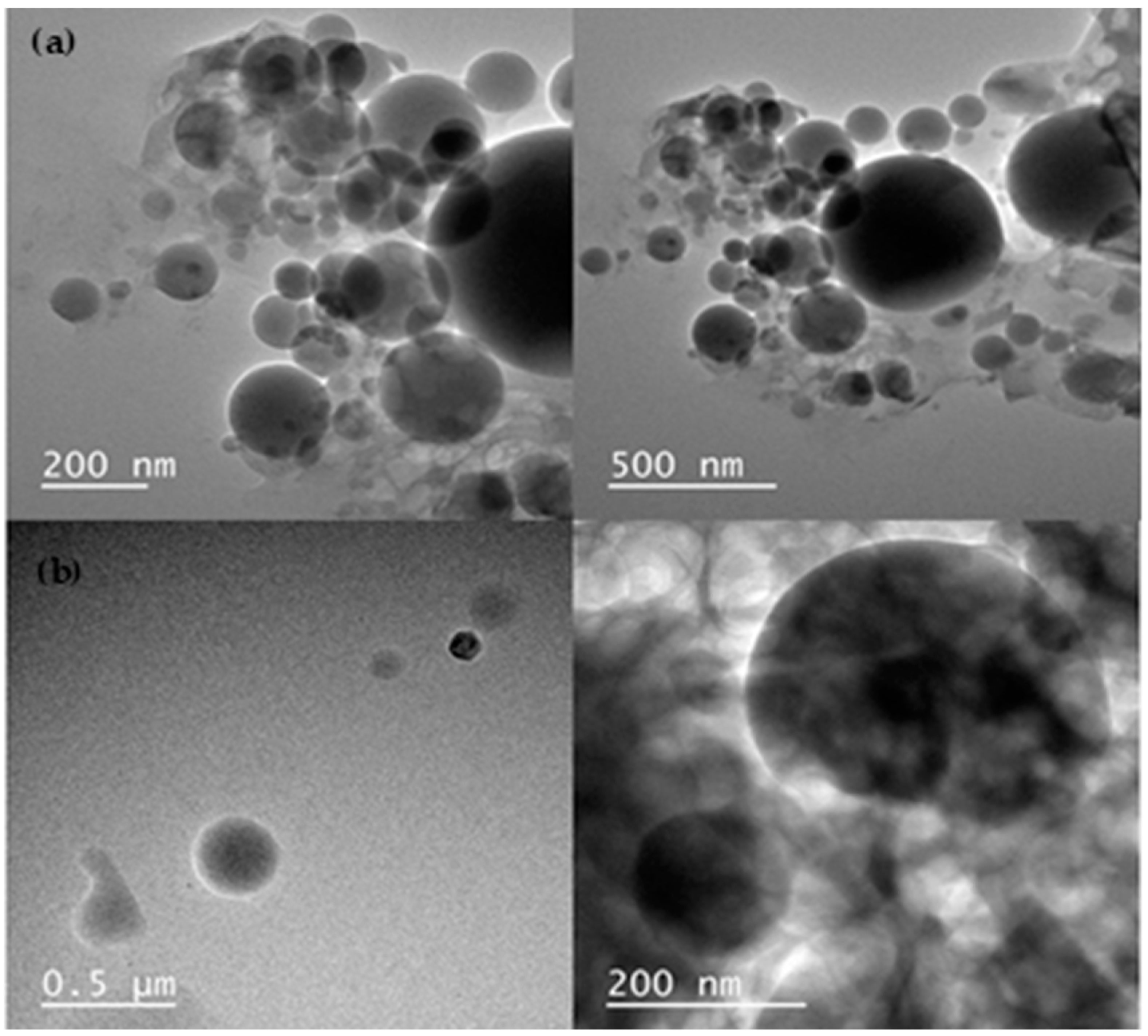 Biomedicines 13 00673 g002