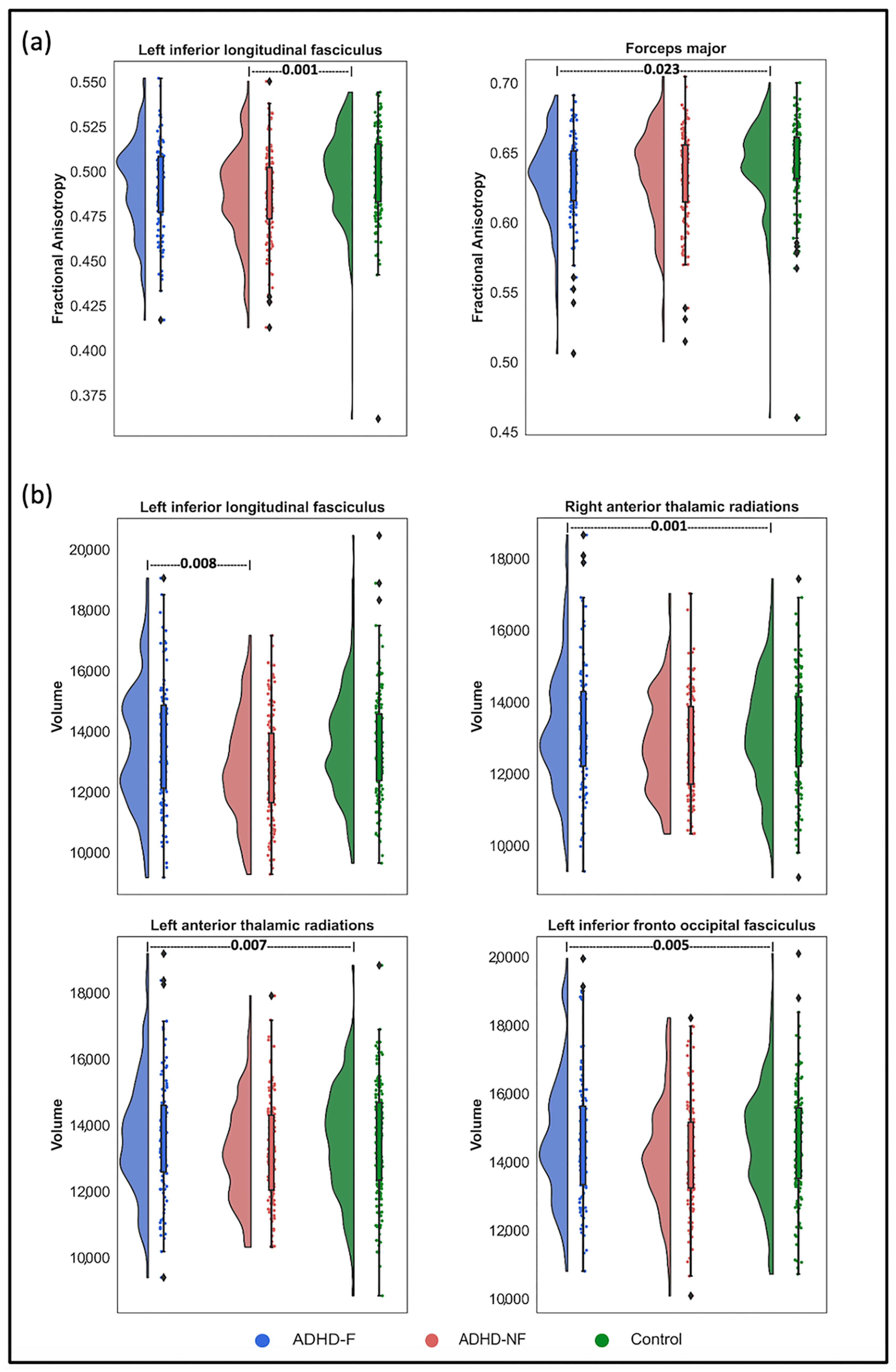Biomedicines 13 00676 g003